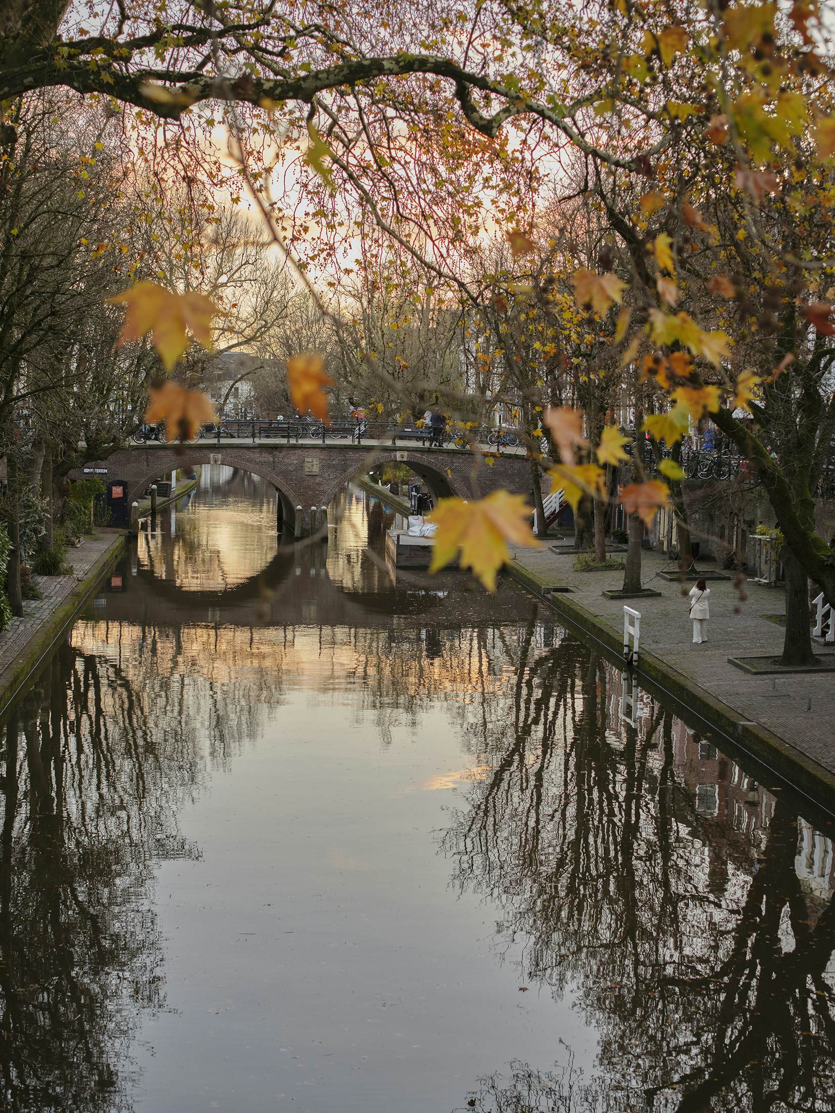 A canal runs through a city. It's surrounded by autumn trees and quiet streets.