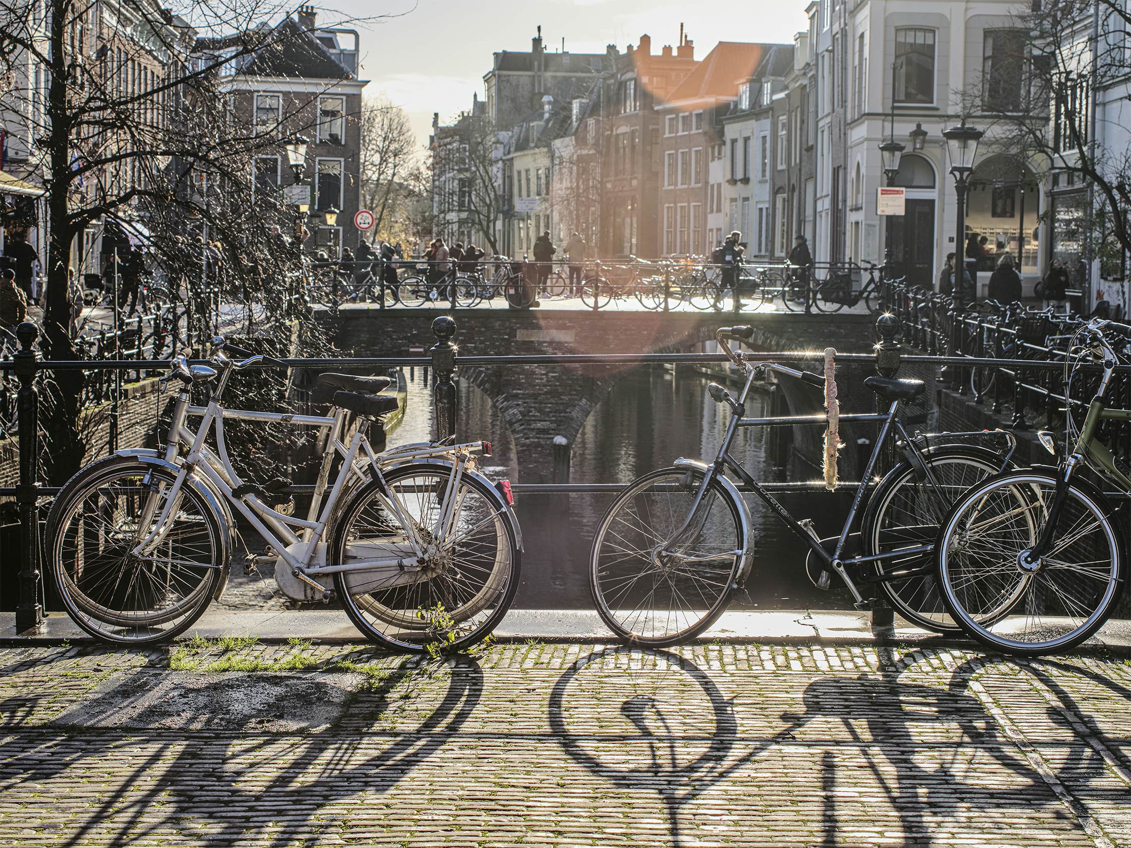 Bikes parked by the railing of a canal bridge on a frosty morning.