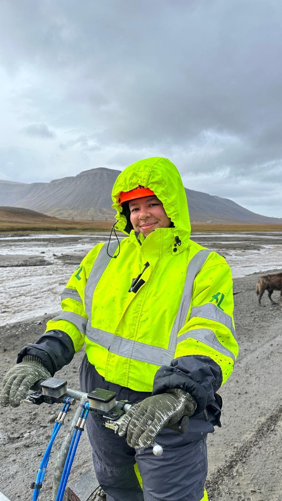 Chamidae Ford dog sledding on an overcast day.
