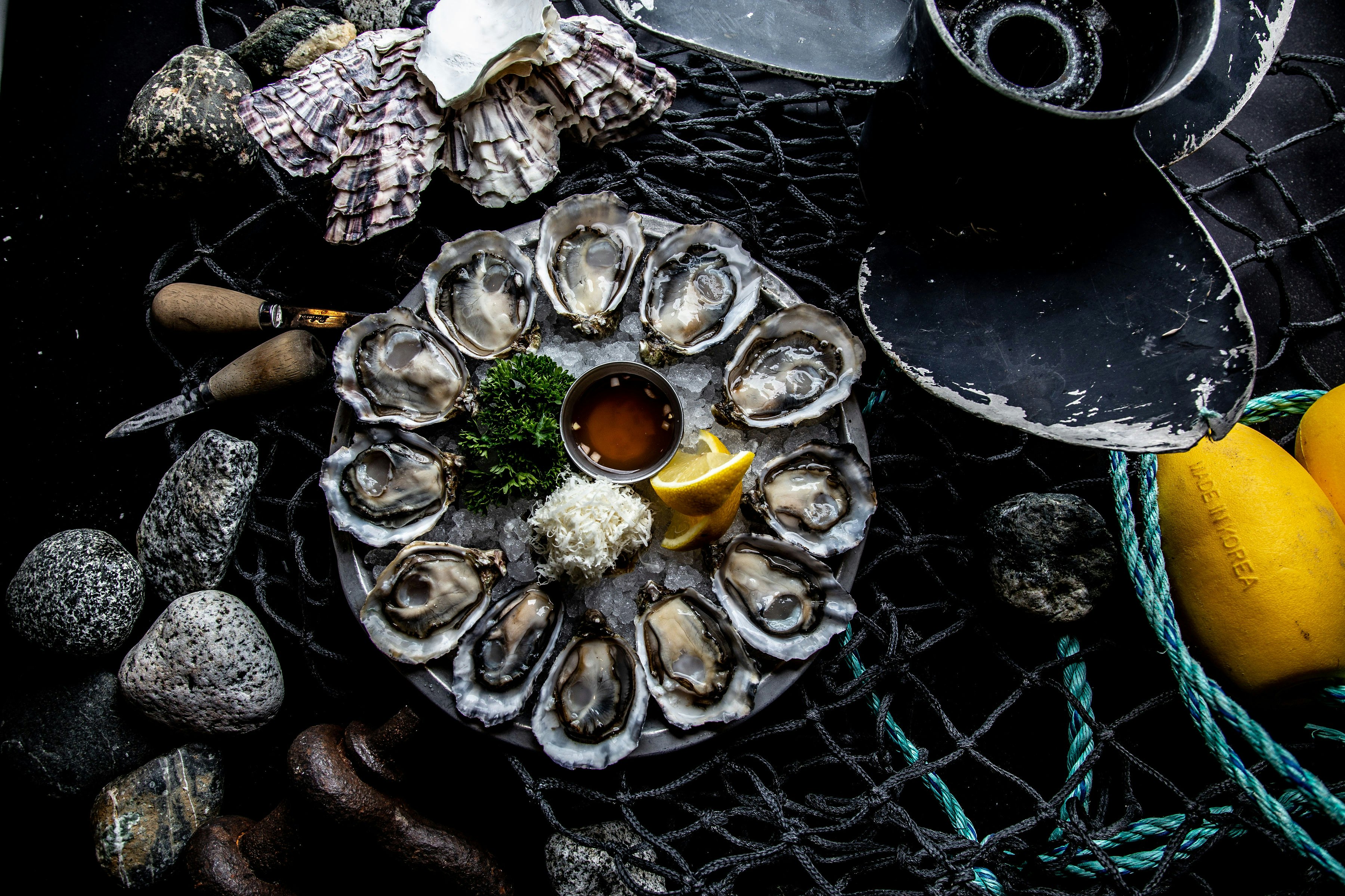 A round dish of oysters on a table. Lemon, oil and garnish sit in the center of the plate.
