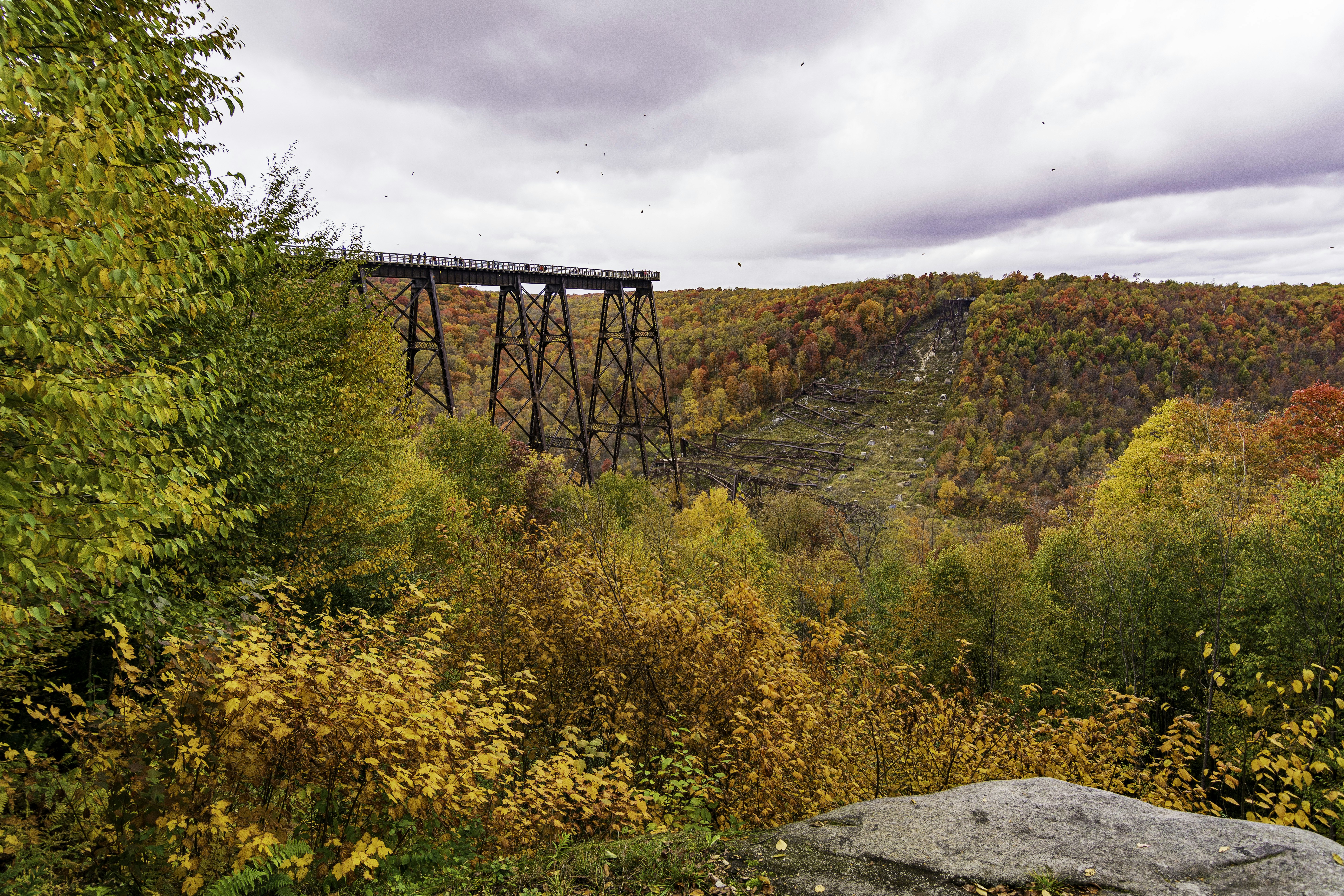 People look out over hillsides covered in fall foliage from a large platform that stands above a valley.
