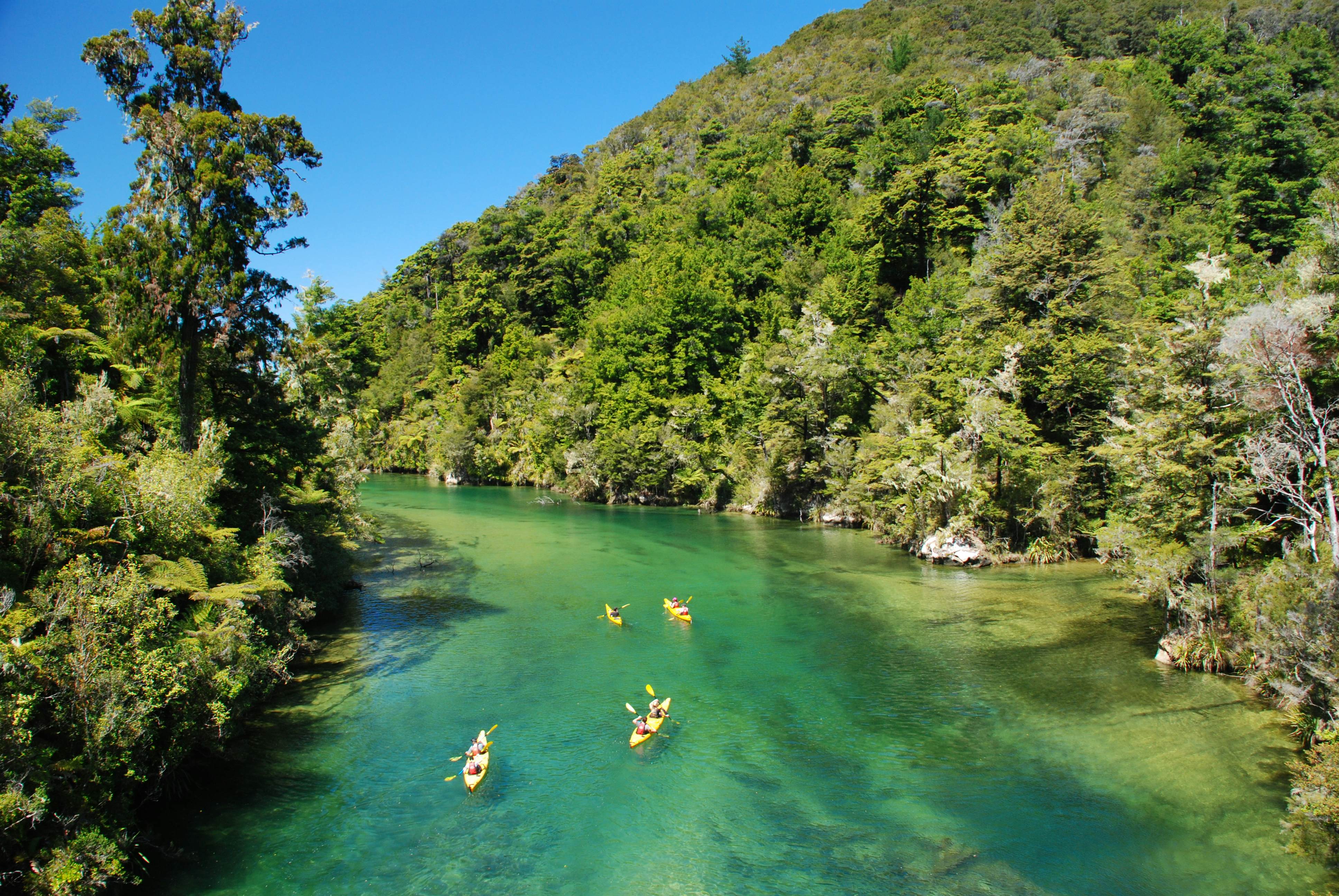 154048889
Clear Sky, Tasman Sea, Abel Tasman National Park, Oar, Idyllic, Transparent, Blue, Turquoise Colored, Kayaking, Rowing, Hiking, New Zealand, Beach, Sea, River, Water, Nature, Sports And Fitness, Bodies Of Water, Water, Transportation
Kayaking on the Falls River, Abel Tasman NP, New Zealand
Kayaking over clear river water