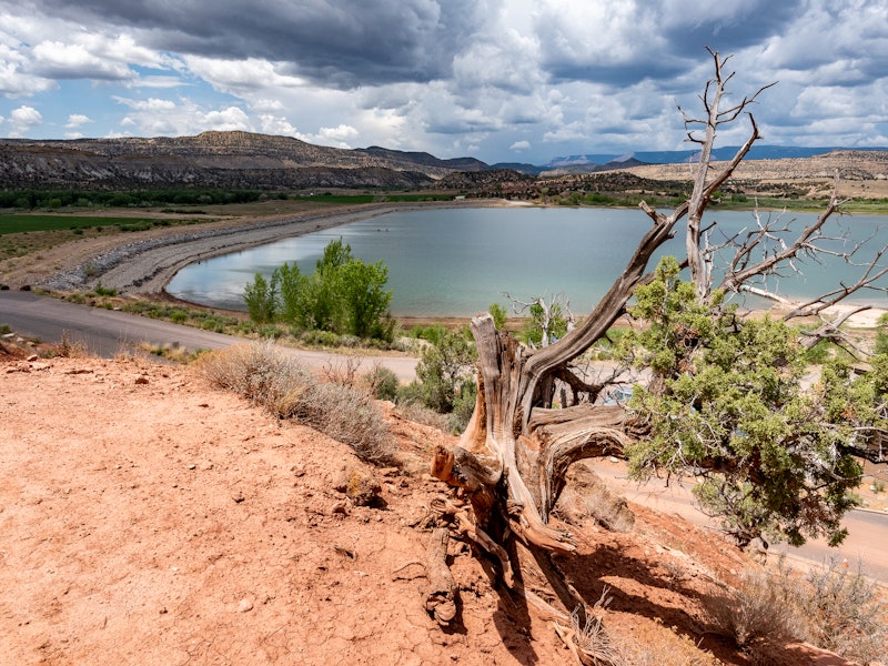 Petrified Forest