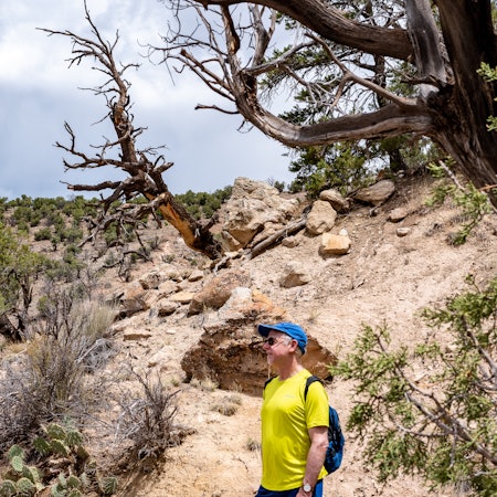Stuart in Petrified Forest