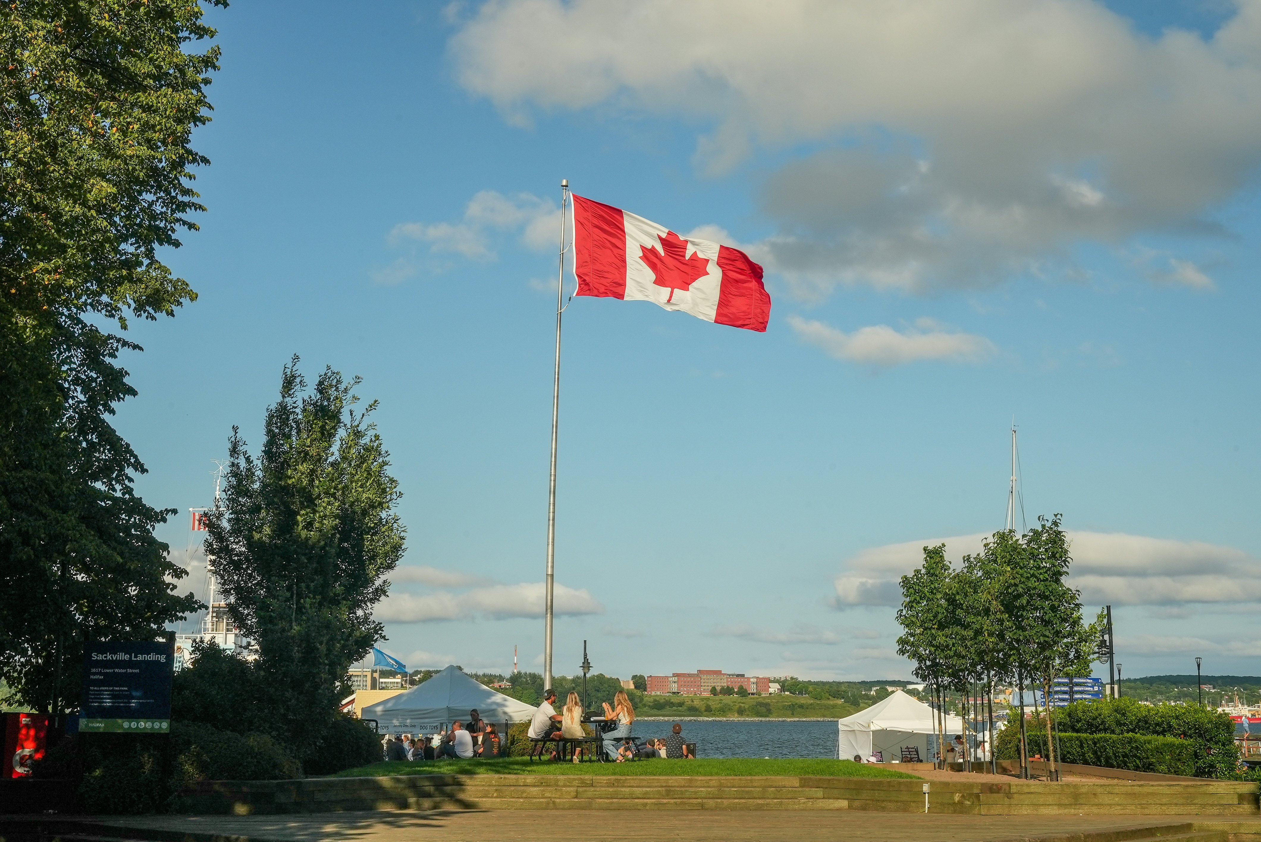 Canadian flag (red-and-white vertical stripes with red maple leaf in center) on a city park flagpole with a harbor in the distance on a sunny day.