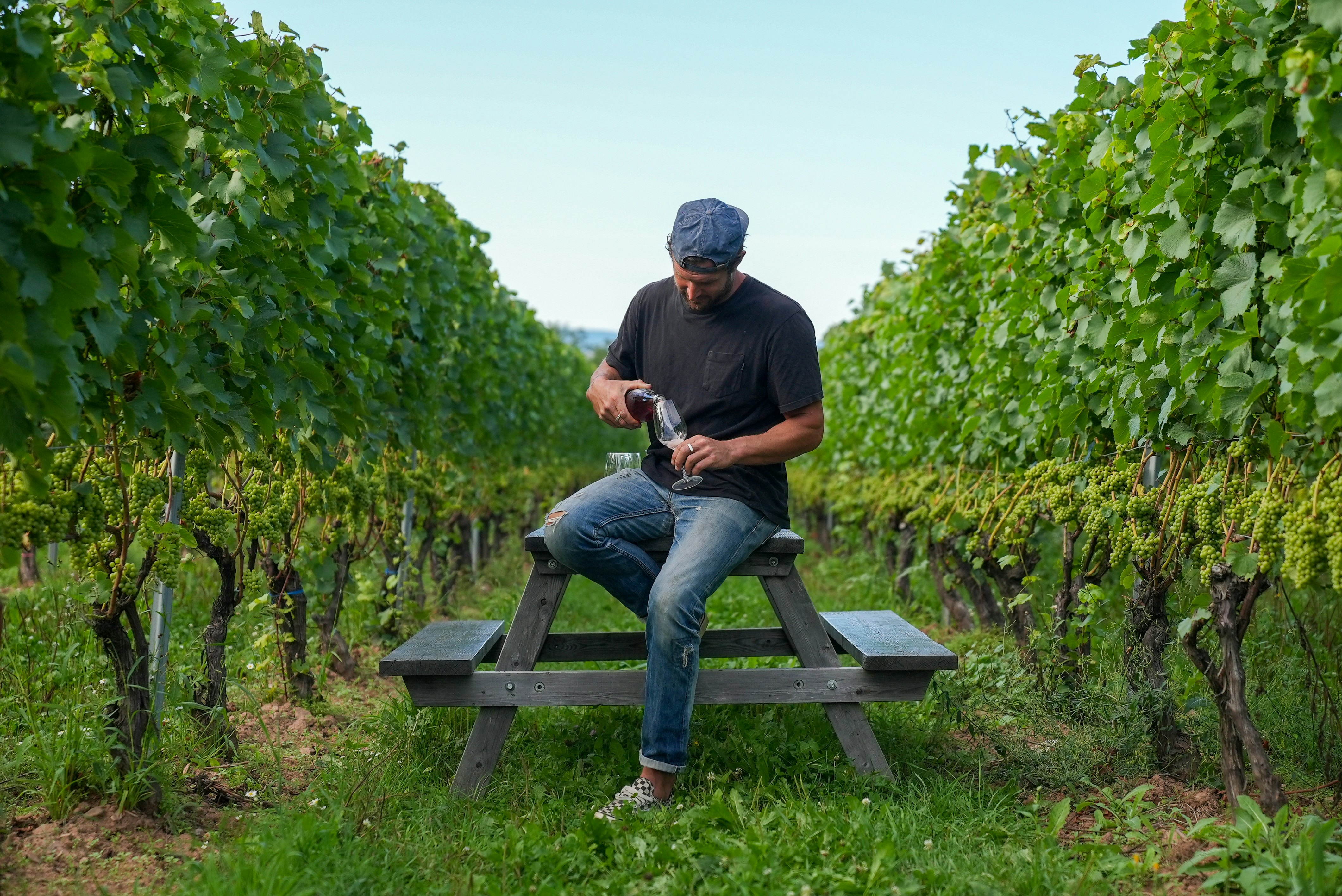 A man in a Nova Scotia vineyard pouring wine into a glass