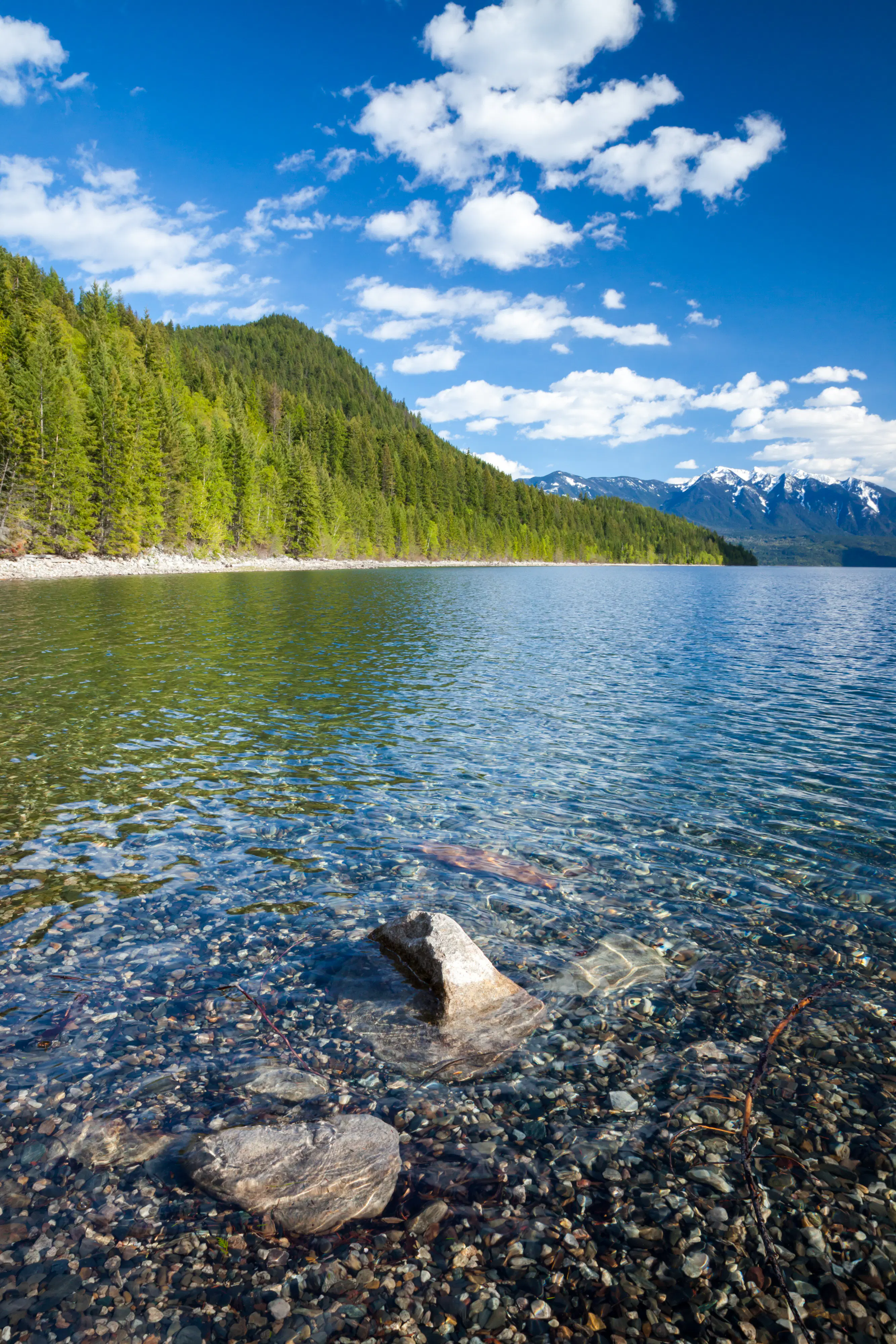 The 7 best road trips in British Columbia - Lonely Planet