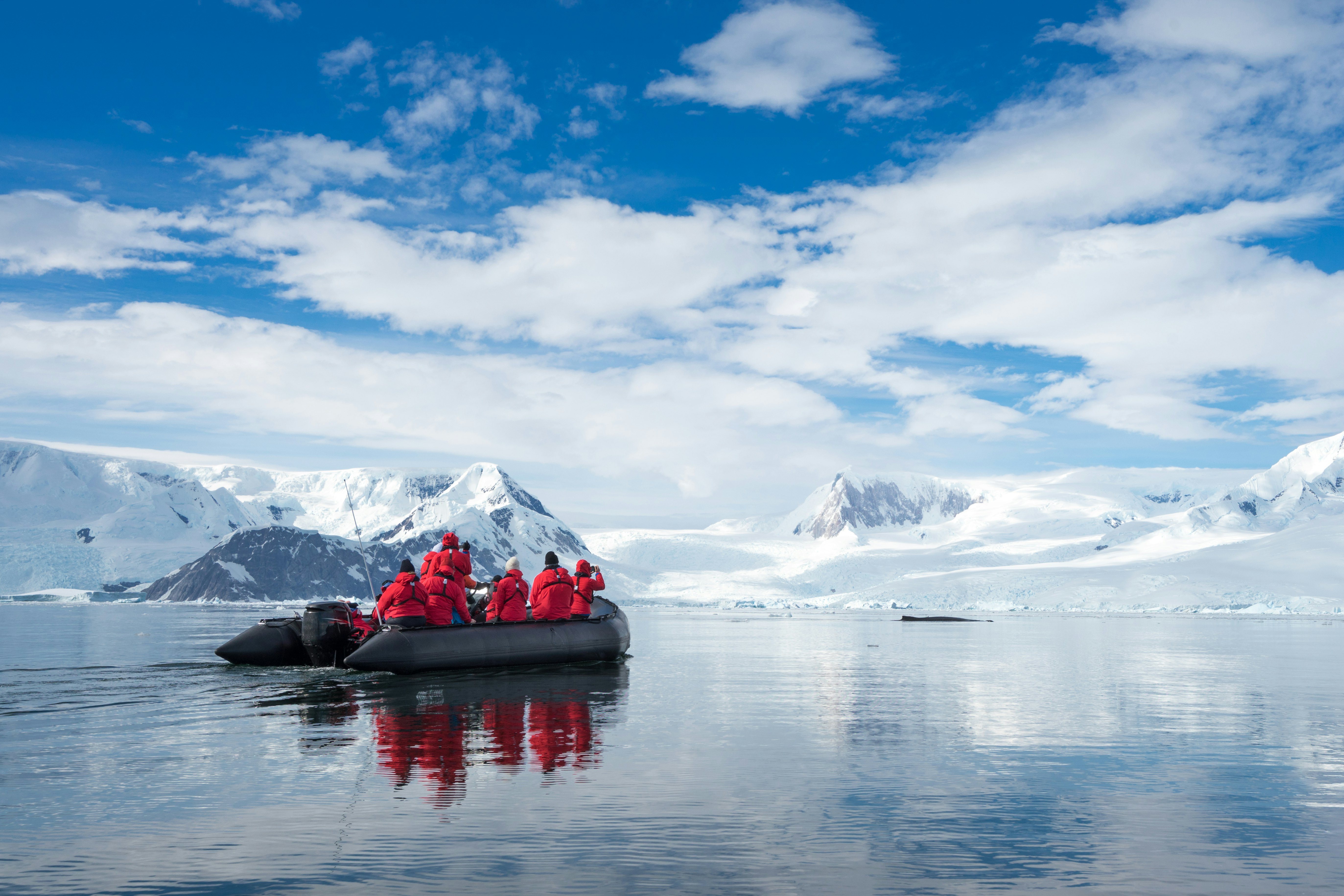 Inflatable boat full of tourists, watching for whales and seals, Antarctic Peninsula, Antarctica