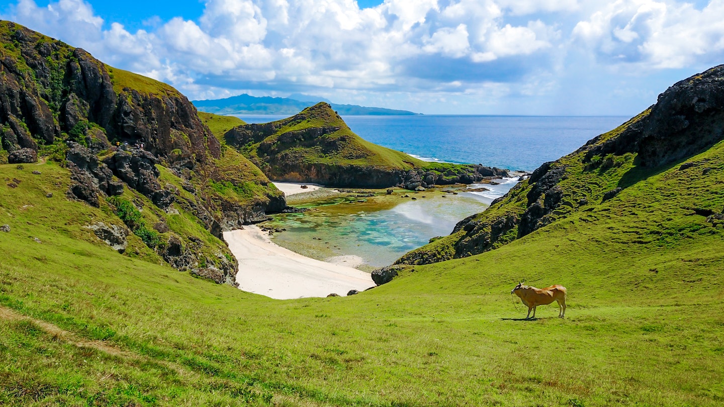 Cove of Sabtang island in the province of Batanes, Philippines License Type: media Download Time: 2021-07-12T14:41:04.000Z User: aniabartoszek Is Editorial: No purchase_order: