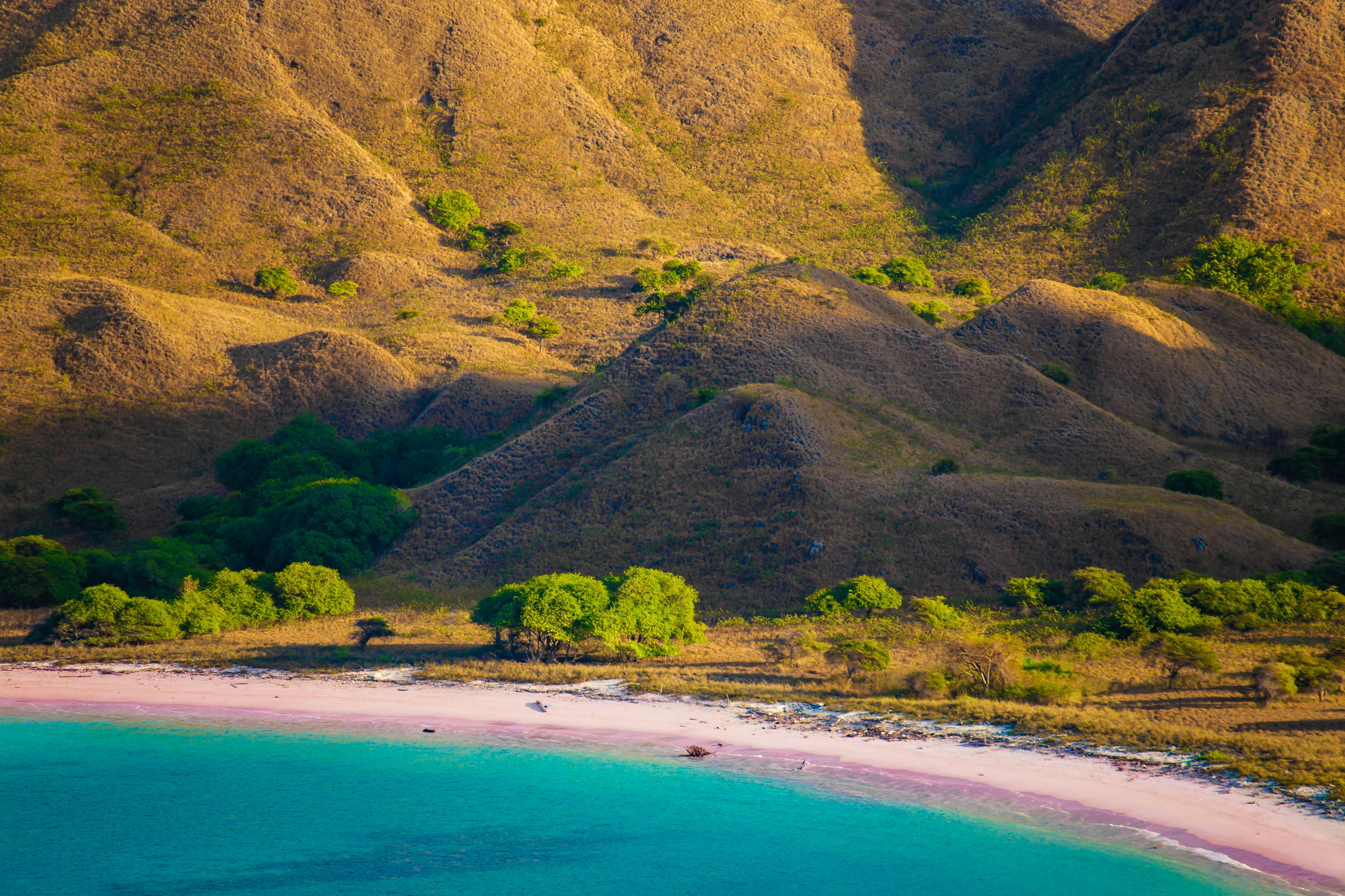 Grassy hills, above a pink-sand beach, glow in the sunshine.