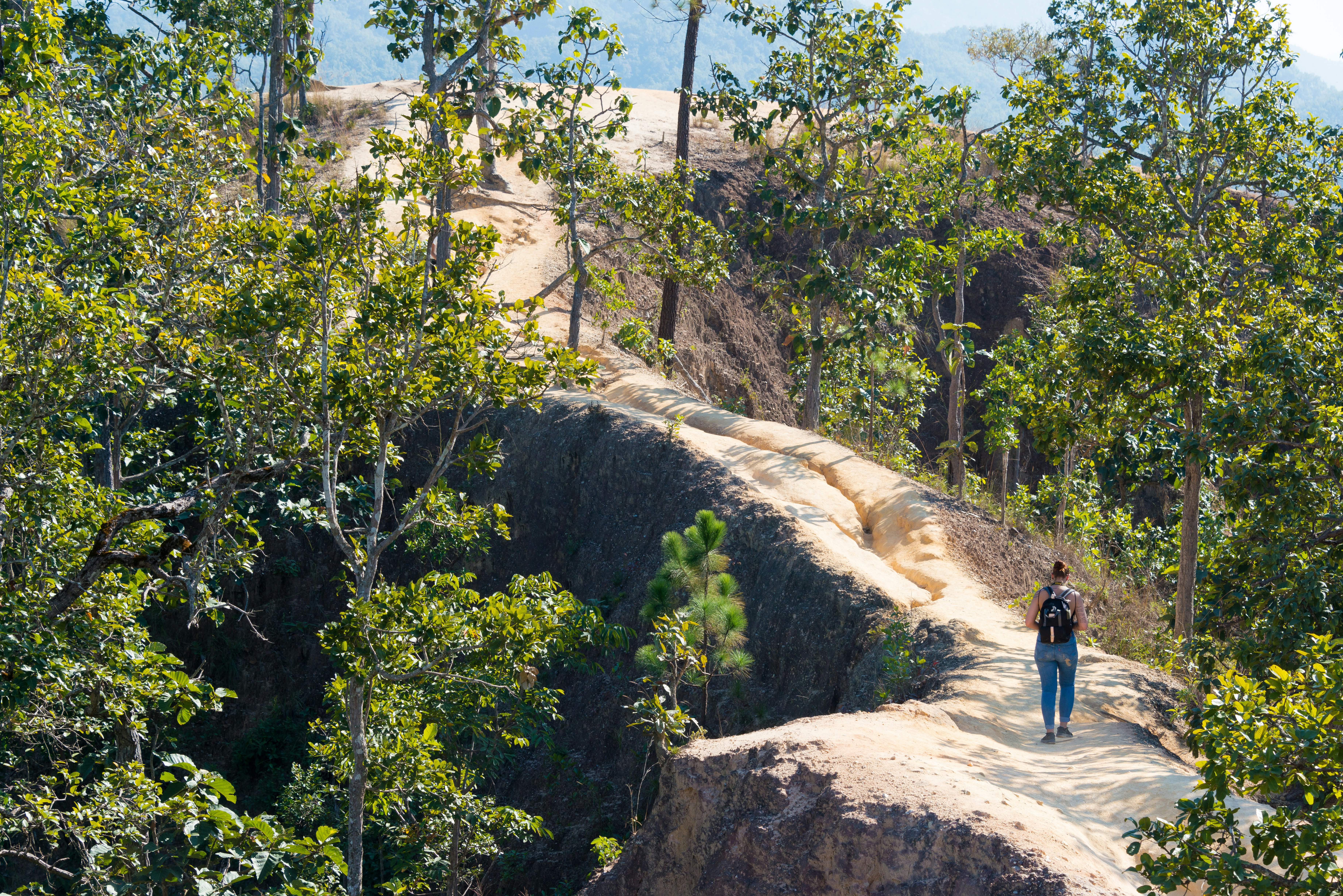 A woman with a dark backpack walks up a dirt path that is between green trees