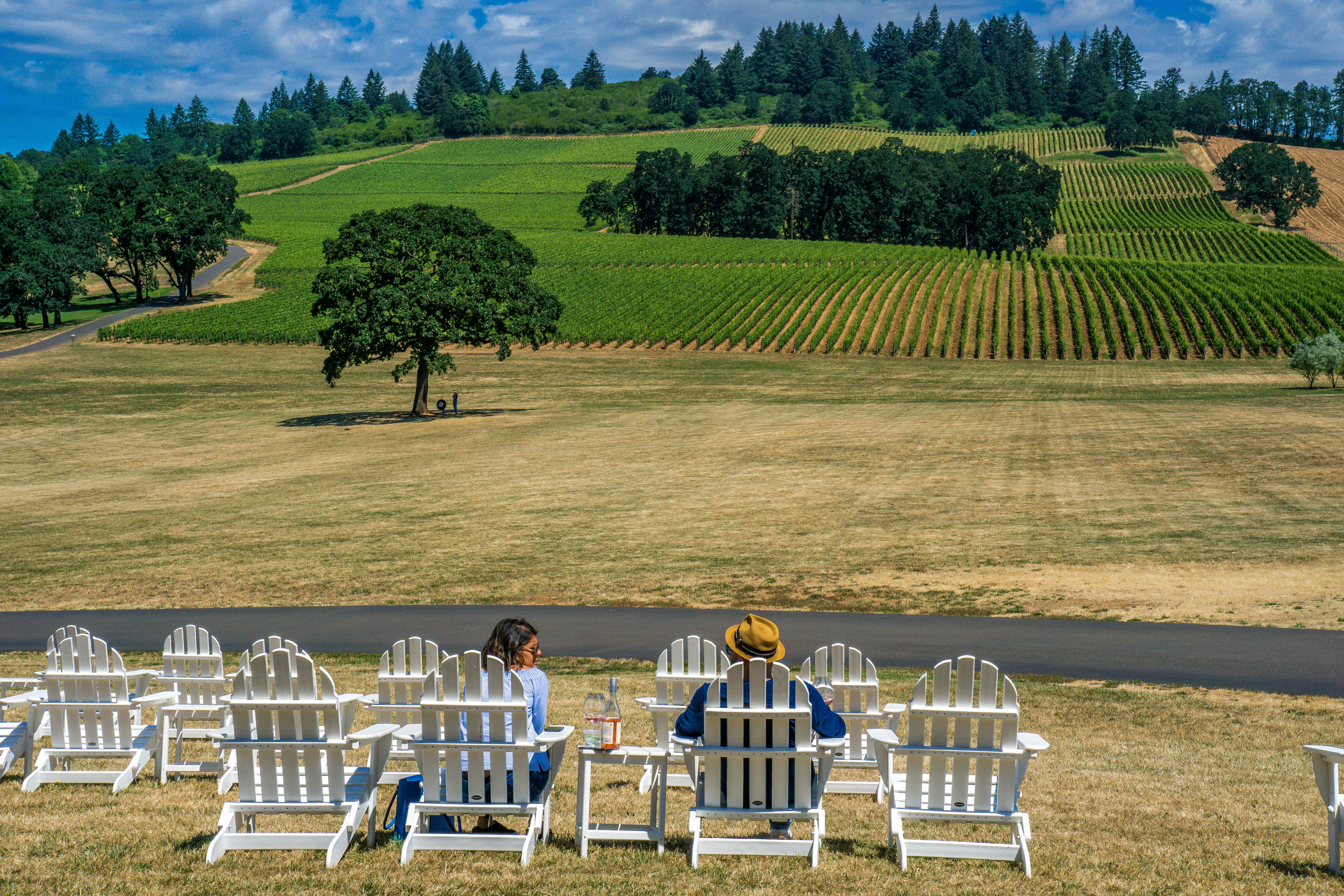 A guide to the Willamette Valley, Oregon