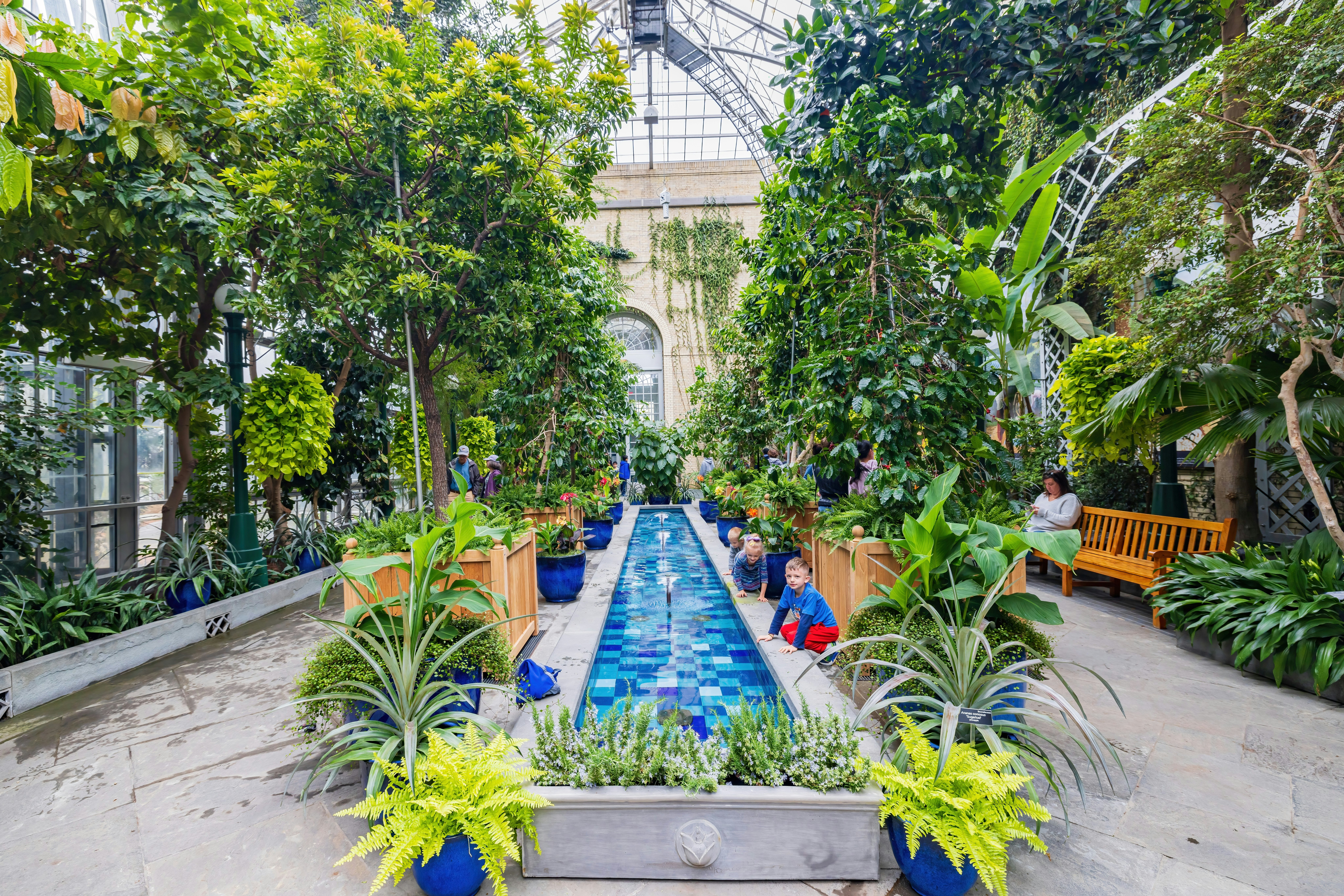 Children playing inside the United States Botanic Garden.