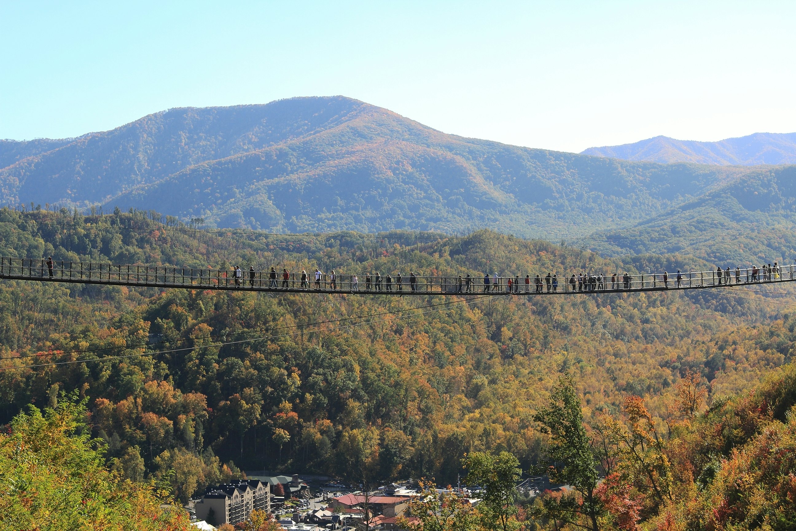 A wide shot of people on a pedestrian suspension bridge spanning a valley full of trees in fall foliage. Mountains are seen in the distance.