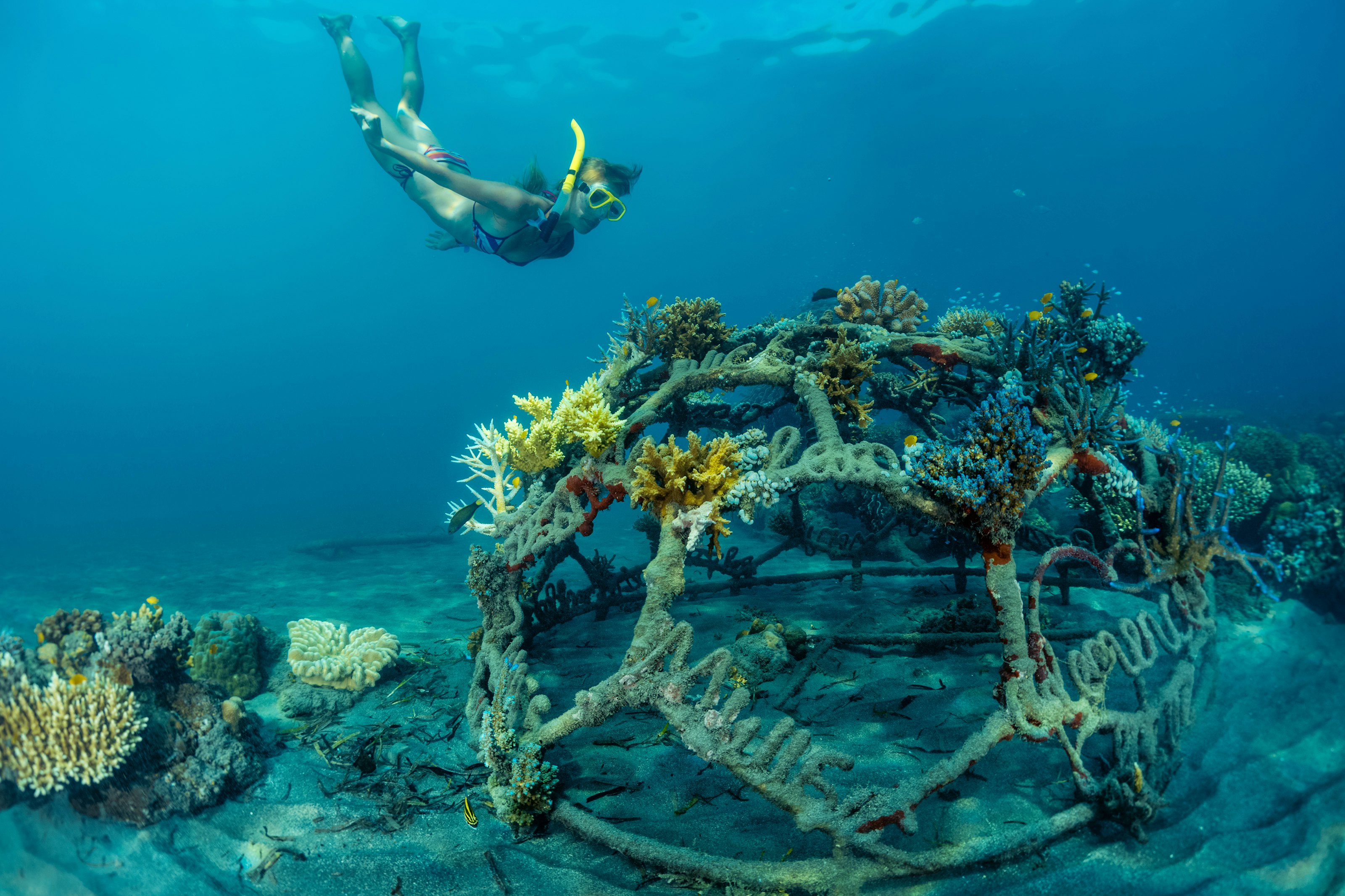A woman snorkels over an artificial reef in Pemuteran, Bali.