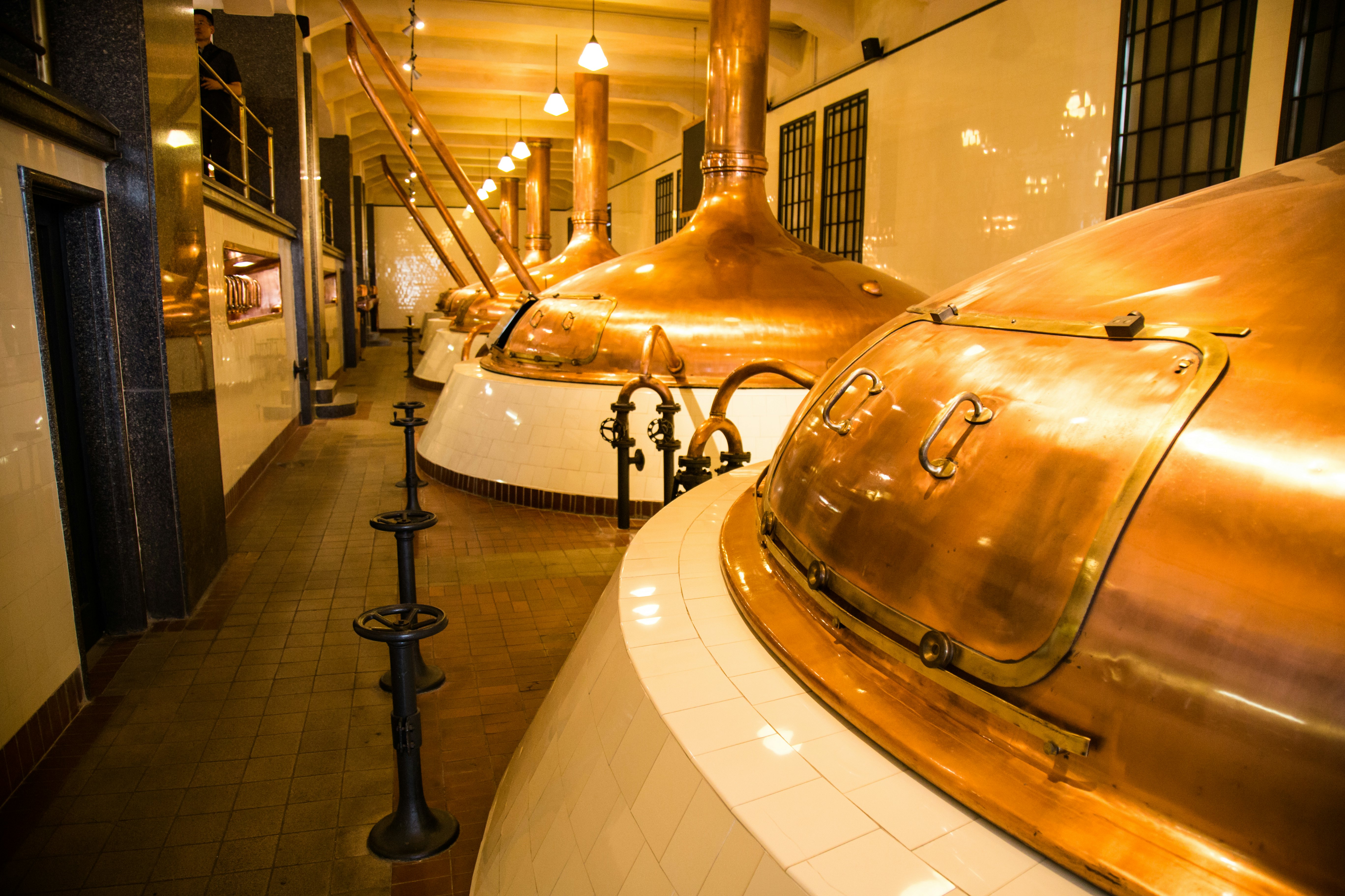 Large vats are lined up at a brewery in Czechia.