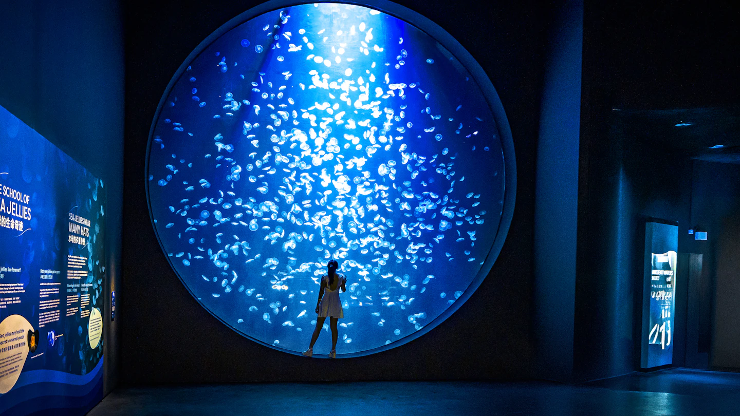 The Ocean Wonders viewing gallery at Singapore Oceanarium