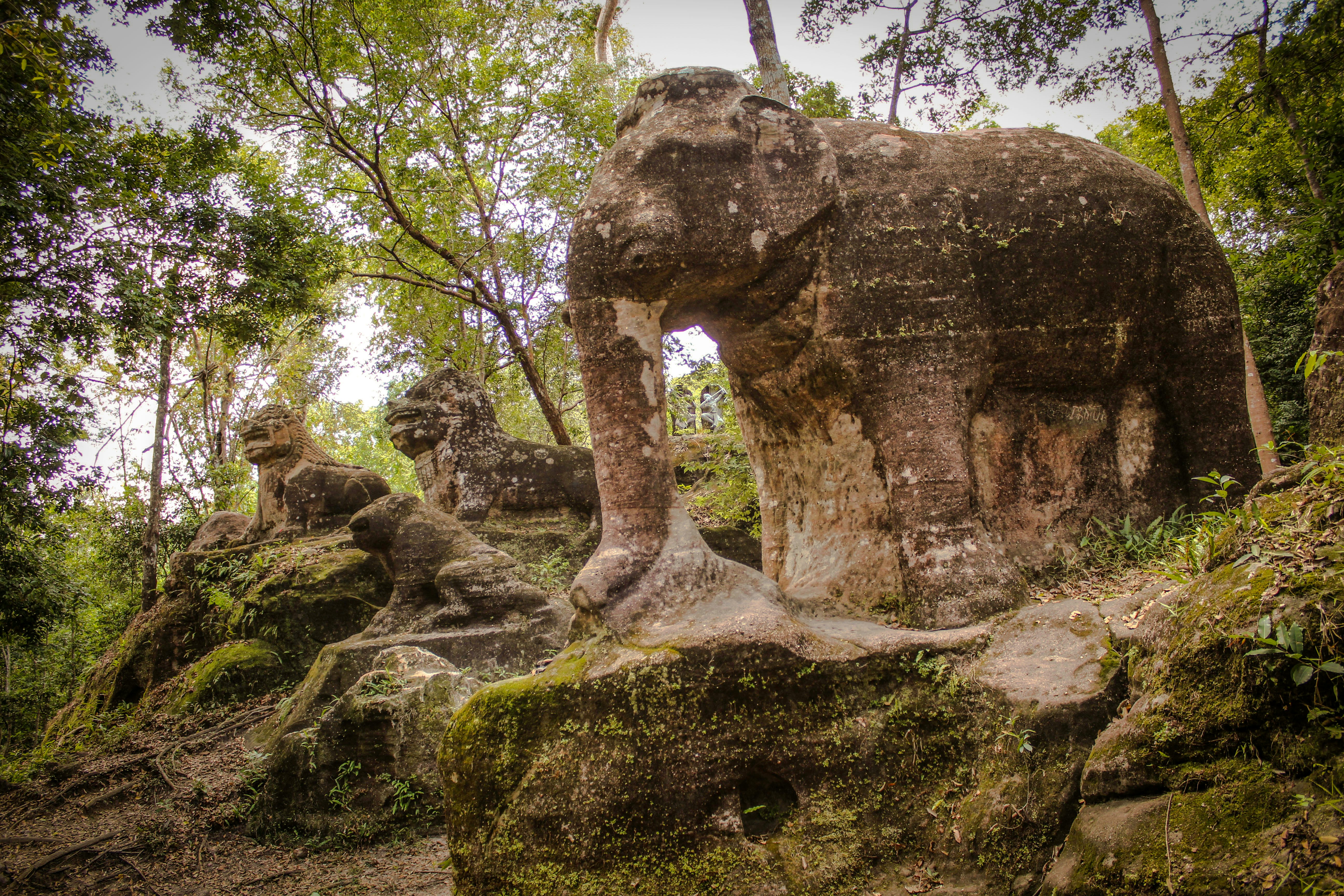 A stone carving of an elephant and other animals on rocks overgrown with moss in a national park in Cambodia.