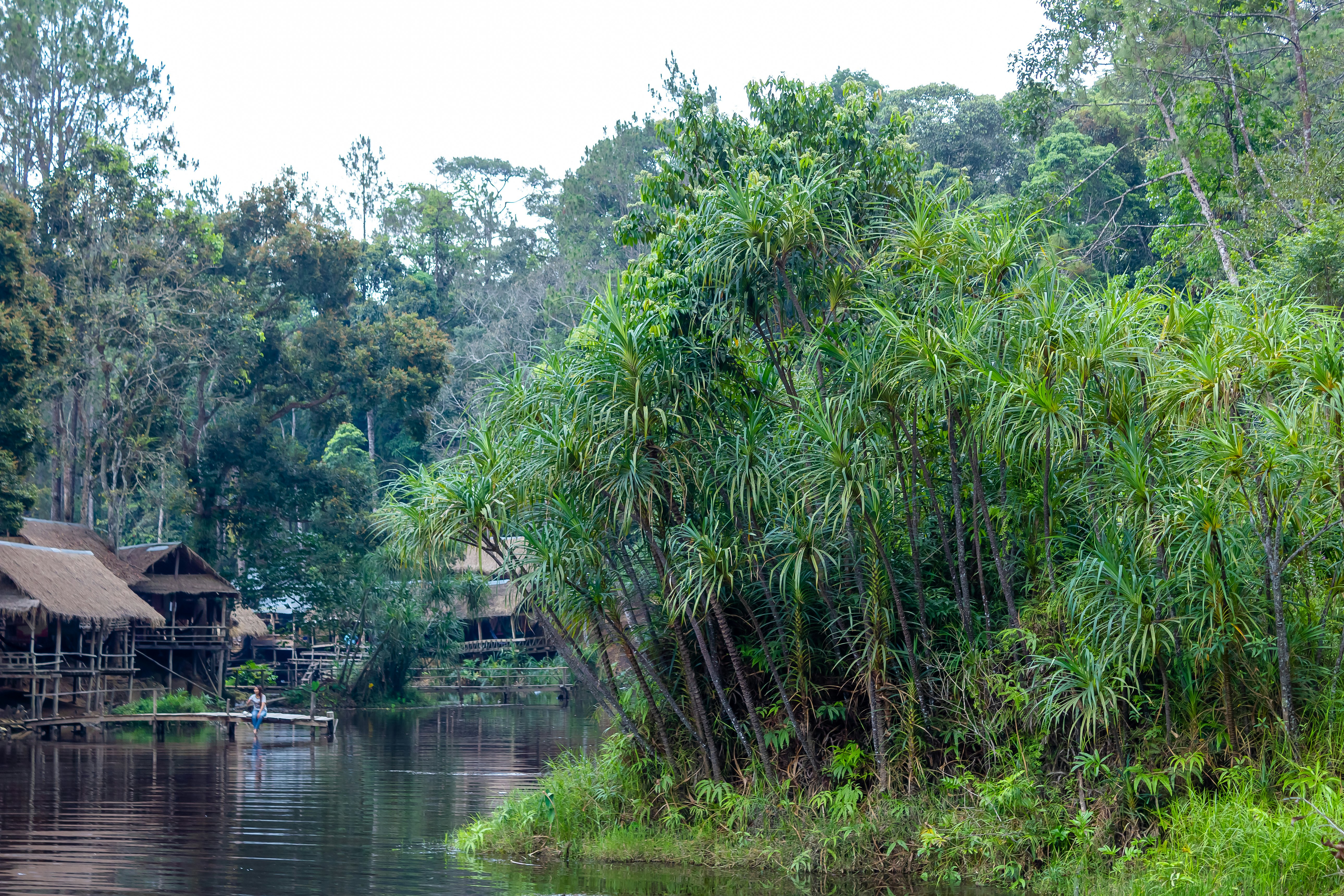 Nice and quiet view over the water flow in the national park in Cambodia, License Type: media, Download Time: 2025-03-31T19:11:51.000Z, User: Ppeterson948, Editorial: false, purchase_order: 65050 - Digital Destinations and Articles, job: Global Publishing WIP, client: Global Publishing WIP, other: Pia Peterson Haggarty // SS Comp Ingestion