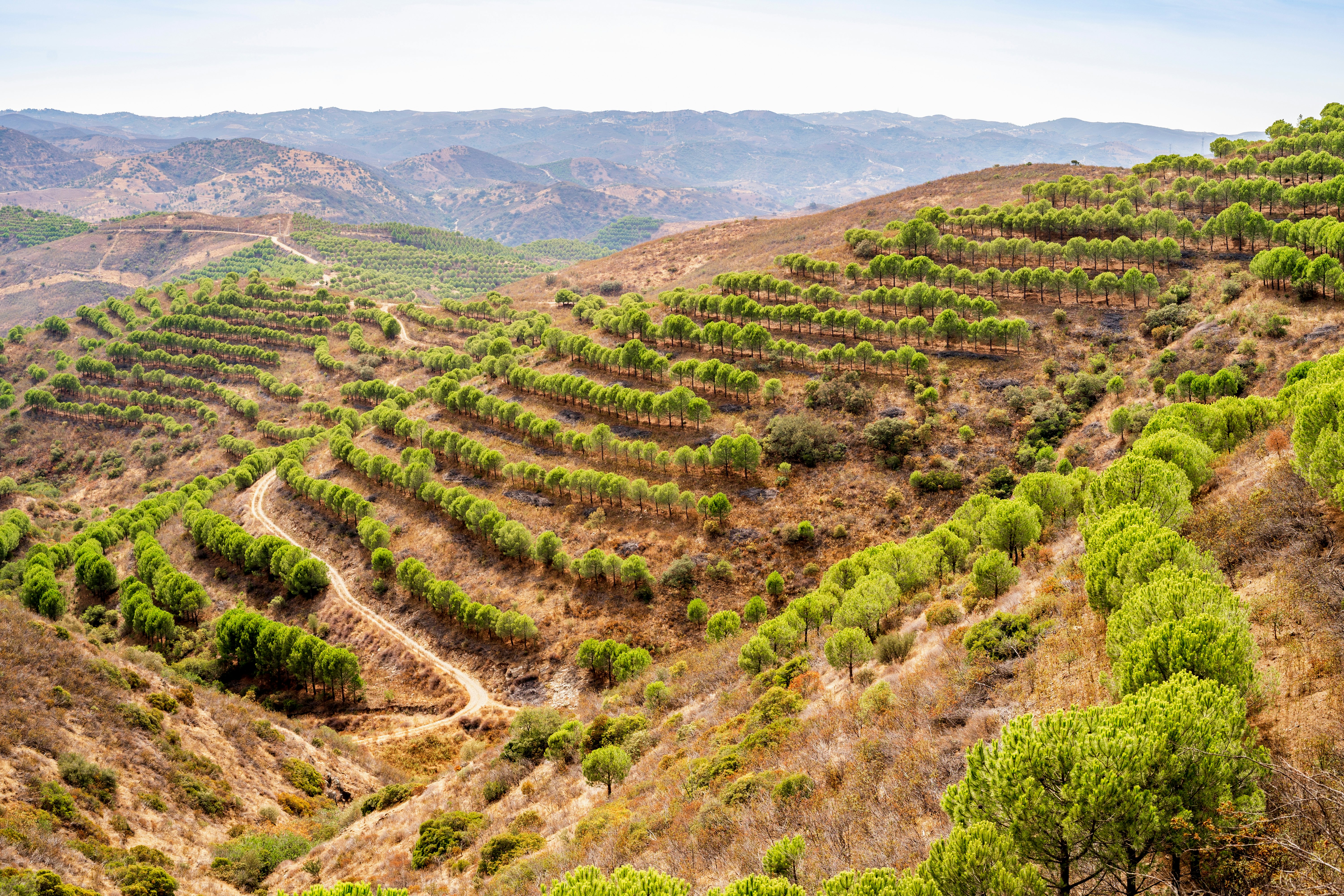 Algarve, Portugal.