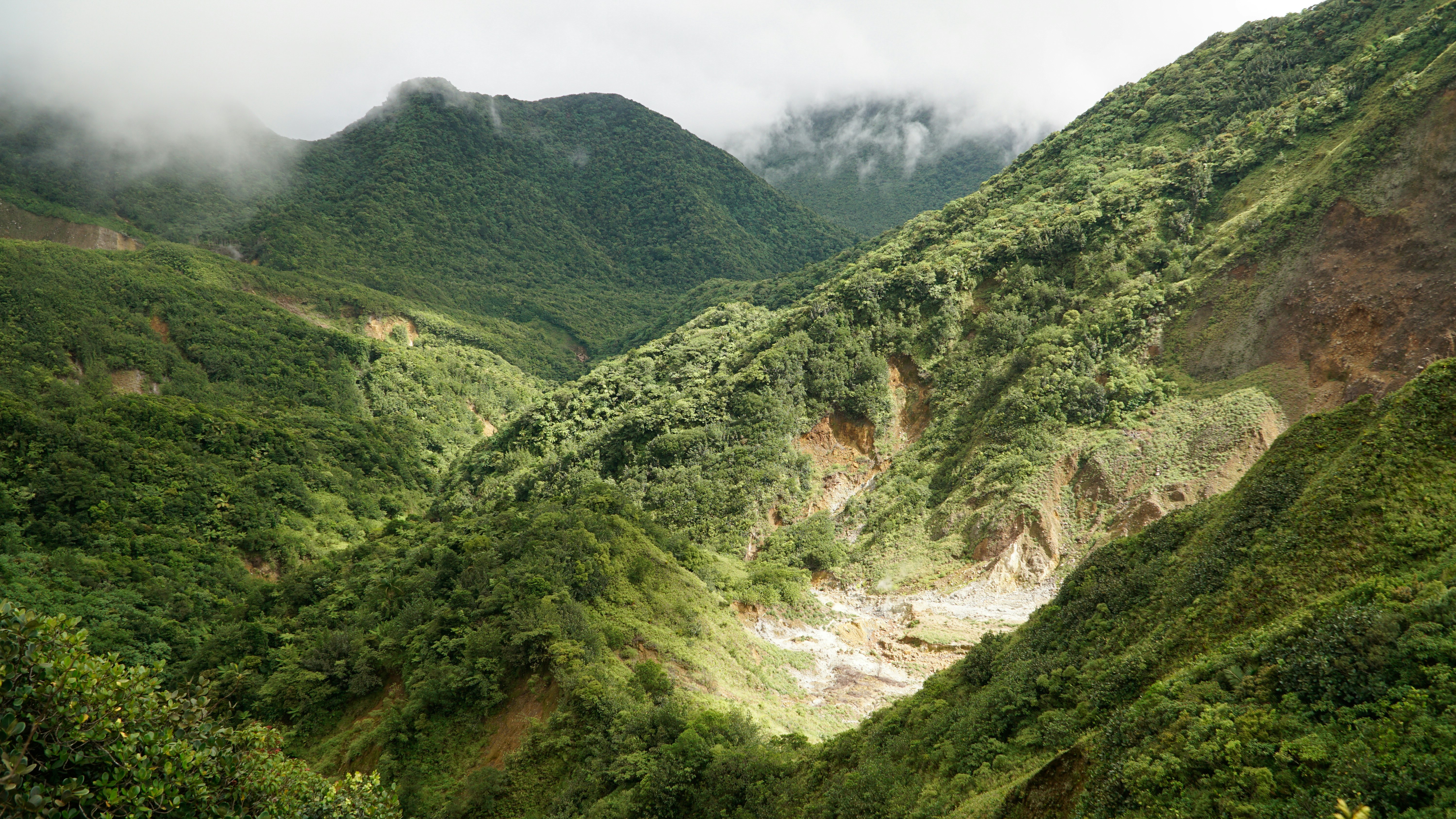 The steam coming off Boiling Lake in the background on the island of Dominica.