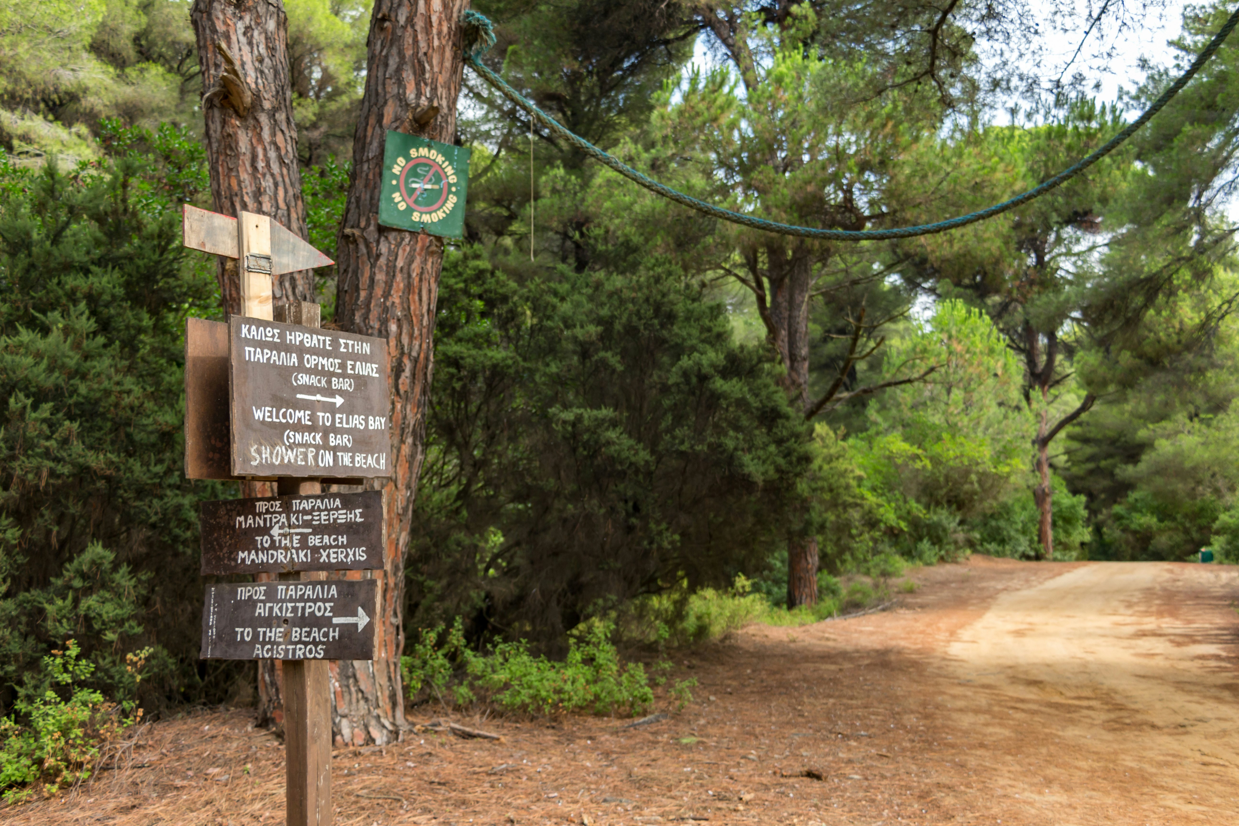 A post with several signs indicates various hiking routes next to a trail in a forest.