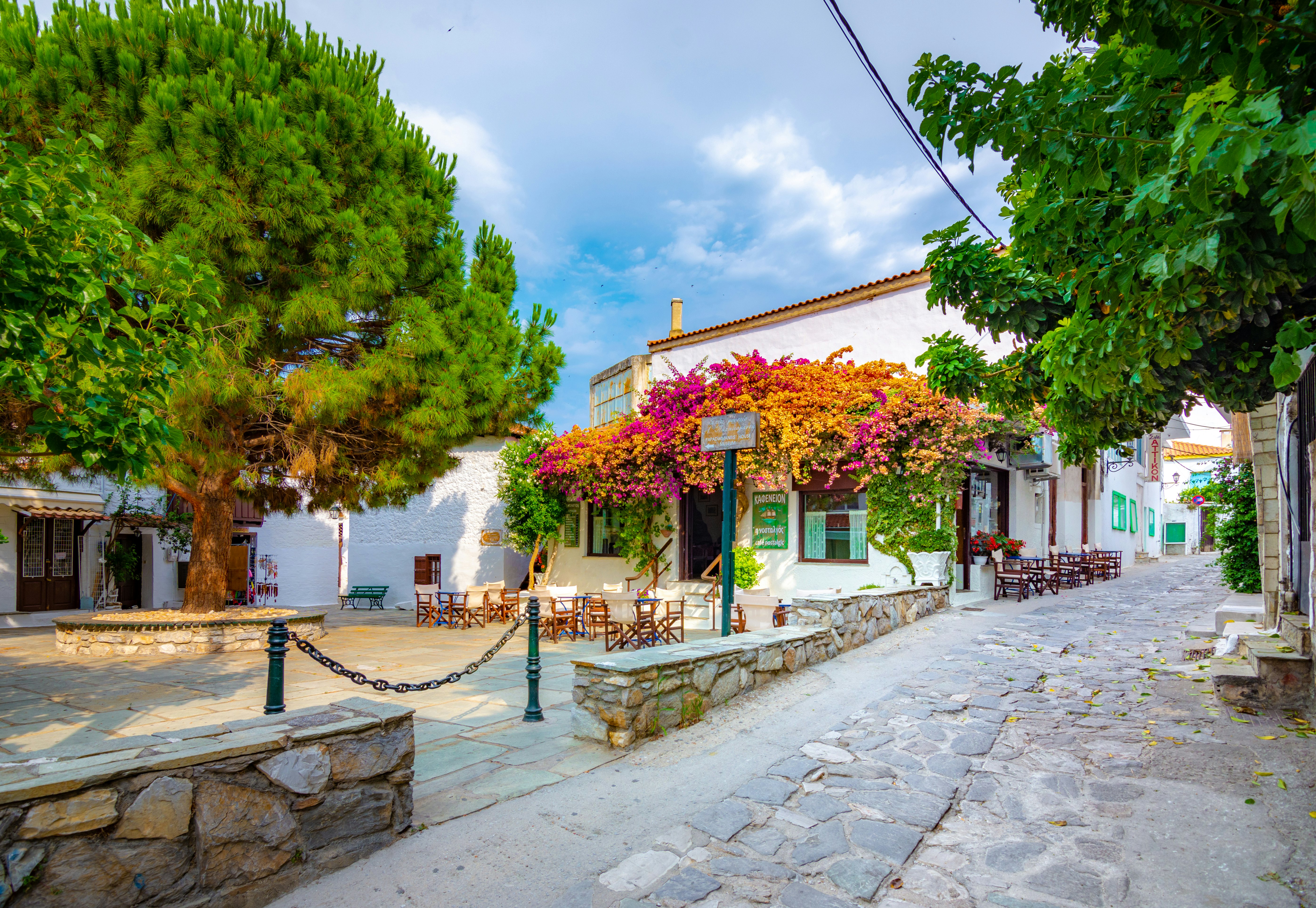 A view of a house on a town square. Bougainvillea and trees provide shade over the narrow cobblestone alley.
