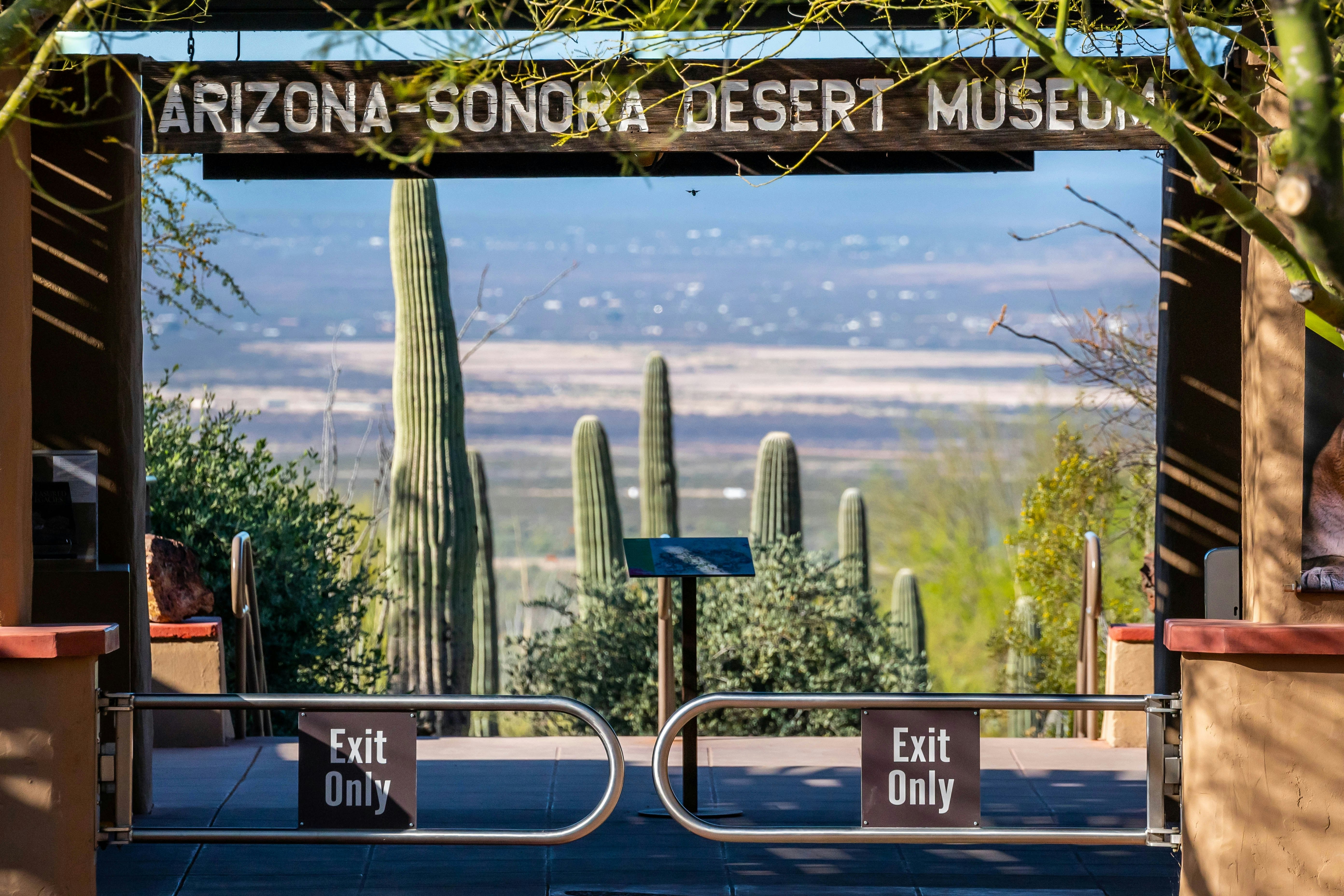 The entrance to an outdoor museum, with tall cacti standing nearby.
