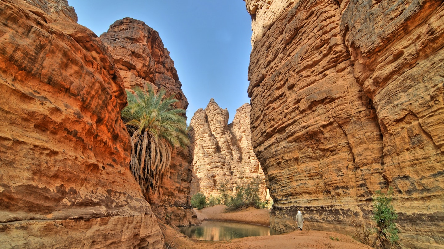 A Saharan oasis with a small lake in Algeria; Shutterstock ID 2336709457; purchase_order:65050 - Digital Destinations and Articles; job:Online editorial; client:Algeria best time; other:Claire Naylor
2336709457