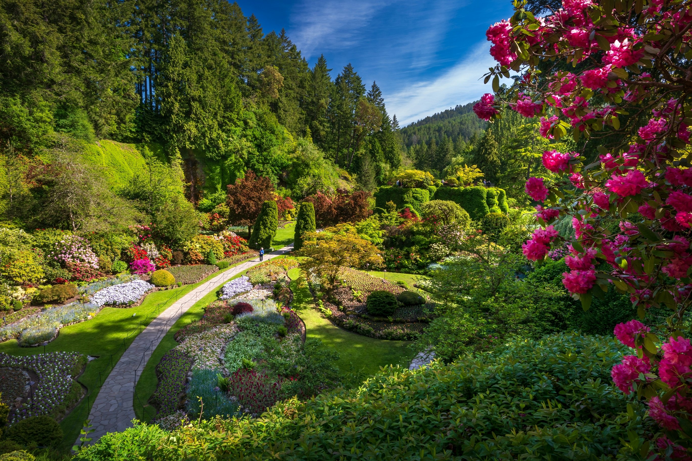 A formal garden with trees, shrubbery and flowers with walking paths throughout on a sunny day.