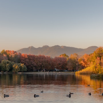 A beautiful view of Trout Lake in Vancouver, British Columbia, Canada. Enjoy the lake, landscape, mountains, trees and vibrant fall foliage during the golden hour. , License Type: media, Download Time: 2025-09-04T20:04:29.000Z, User: katelyn.perry_lonelyplanet, Editorial: false, purchase_order: 65050 - Digital Destinations and Articles, job: wip, client: wip, other: Katelyn Perry