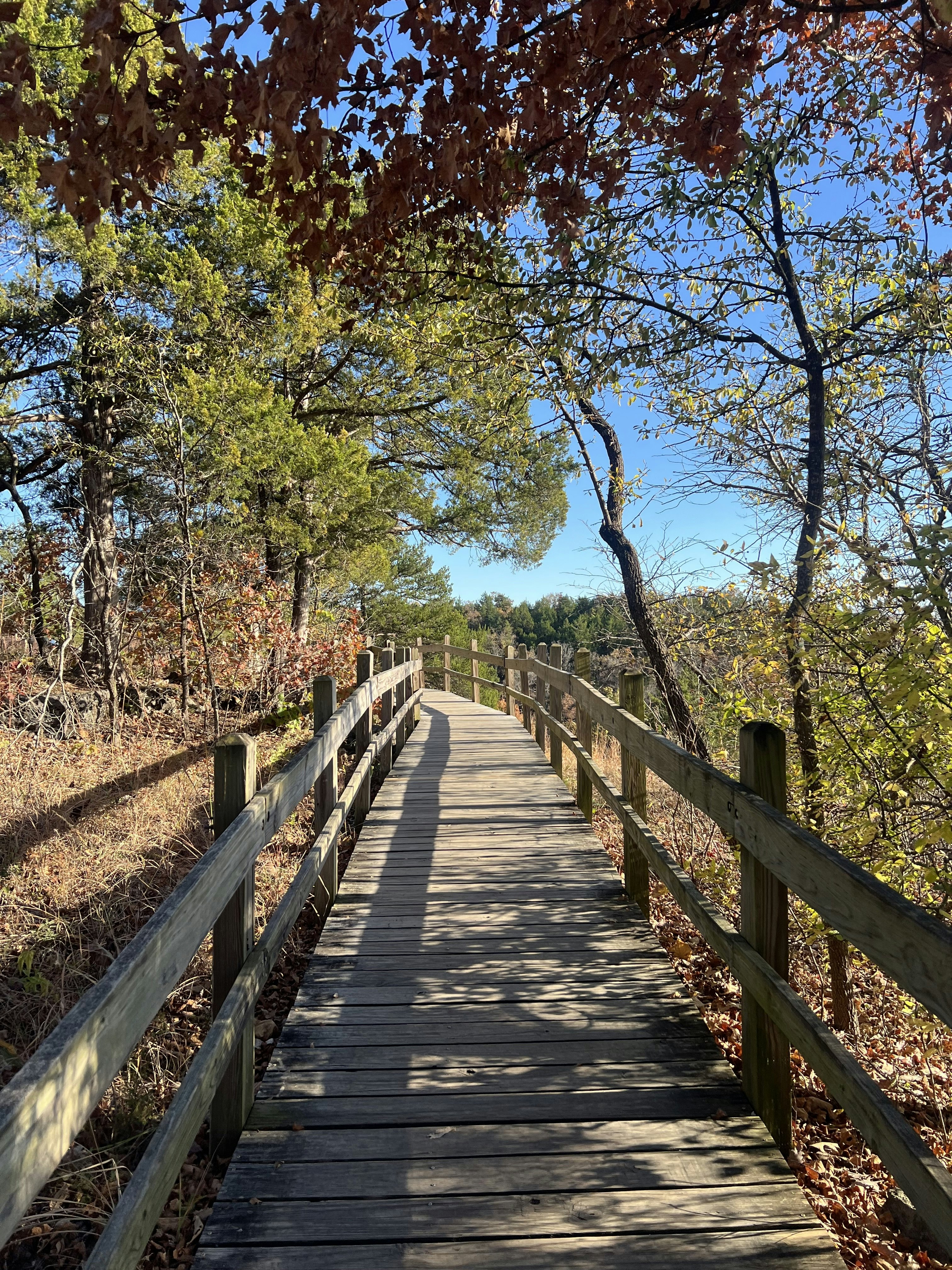 Bridge at Ha Ha Tonka State Park
