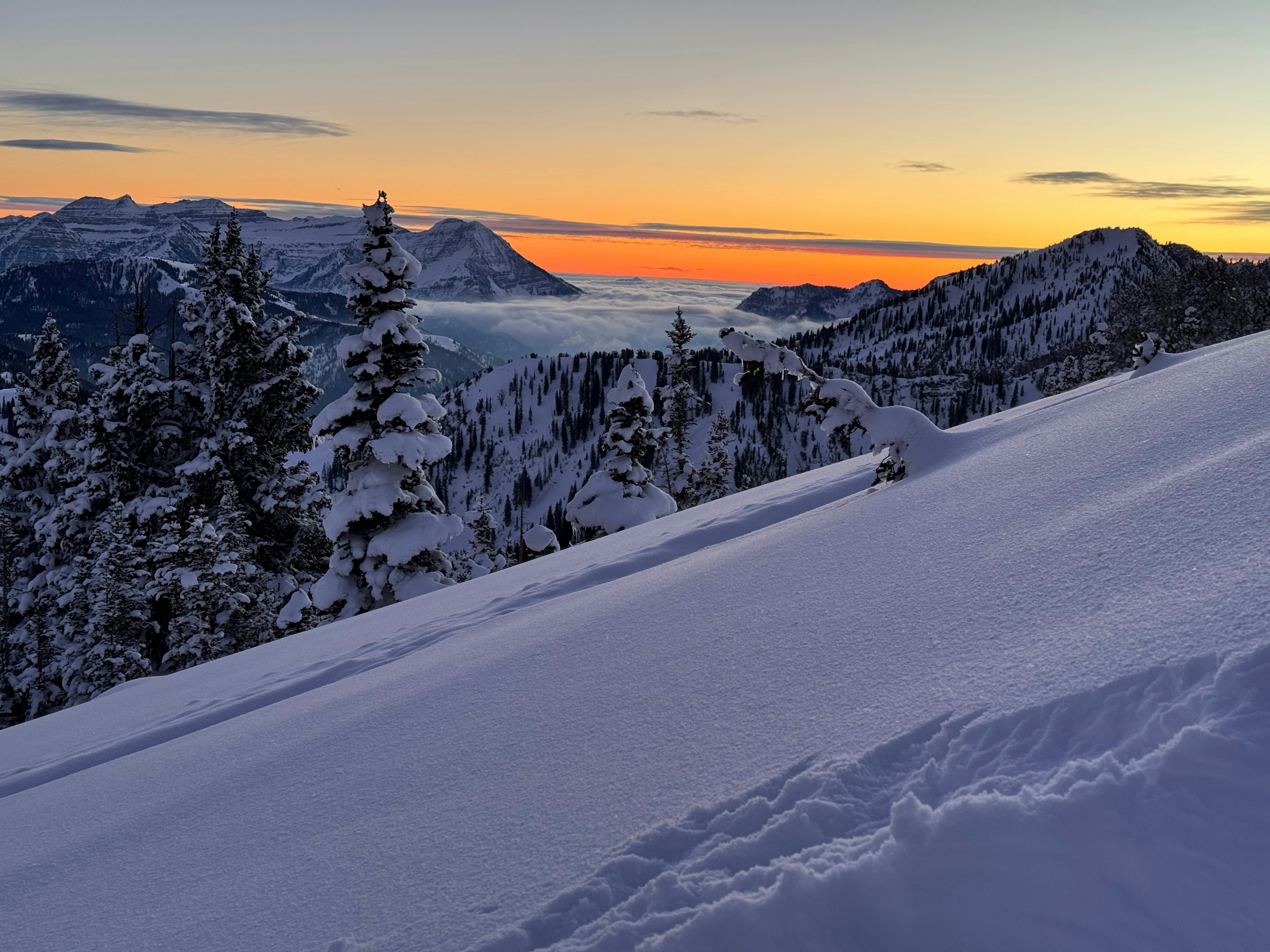 The snow on a ski slope at sunset, with golden lights in the sky and the snow appearing purple in the light.