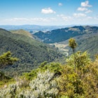 View of the Holdsworth Valley from Rocky Lookout in the Holdsworth area and Tararua Forest Park in the Wairarapa region of the lower North Island of New Zealand., License Type: media, Download Time: 2025-05-28T10:03:16.000Z, User: lonelyplanetmedia, Editorial: false, purchase_order: 65050 - Digital Destinations and Articles, job: Global Publishing WIP, client: Global Publishing WIP, other: Peterson Haggarty // SS Comp Ingestion