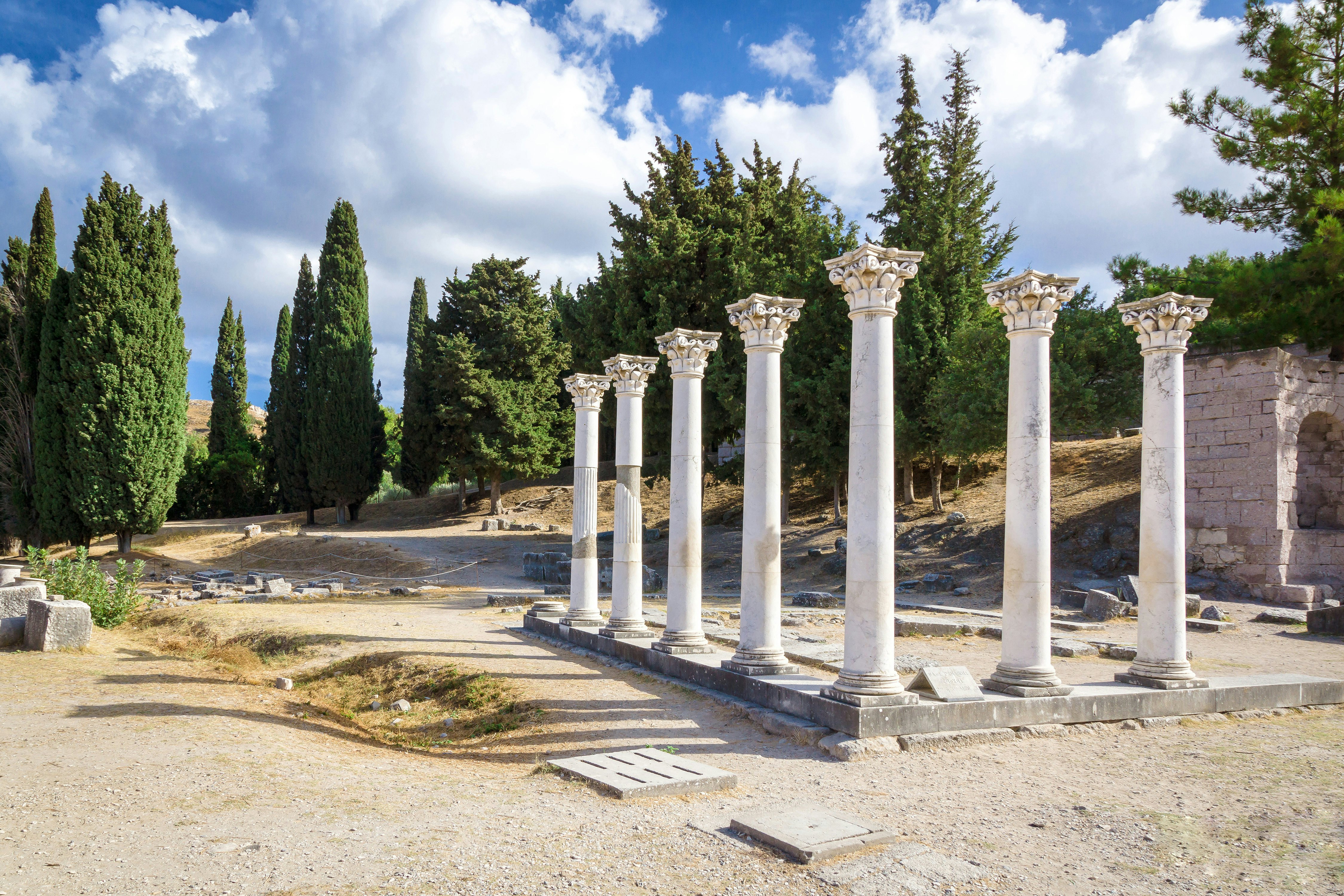 An array of Corinthian columns at an archaeological site, with cedar trees seen behind.