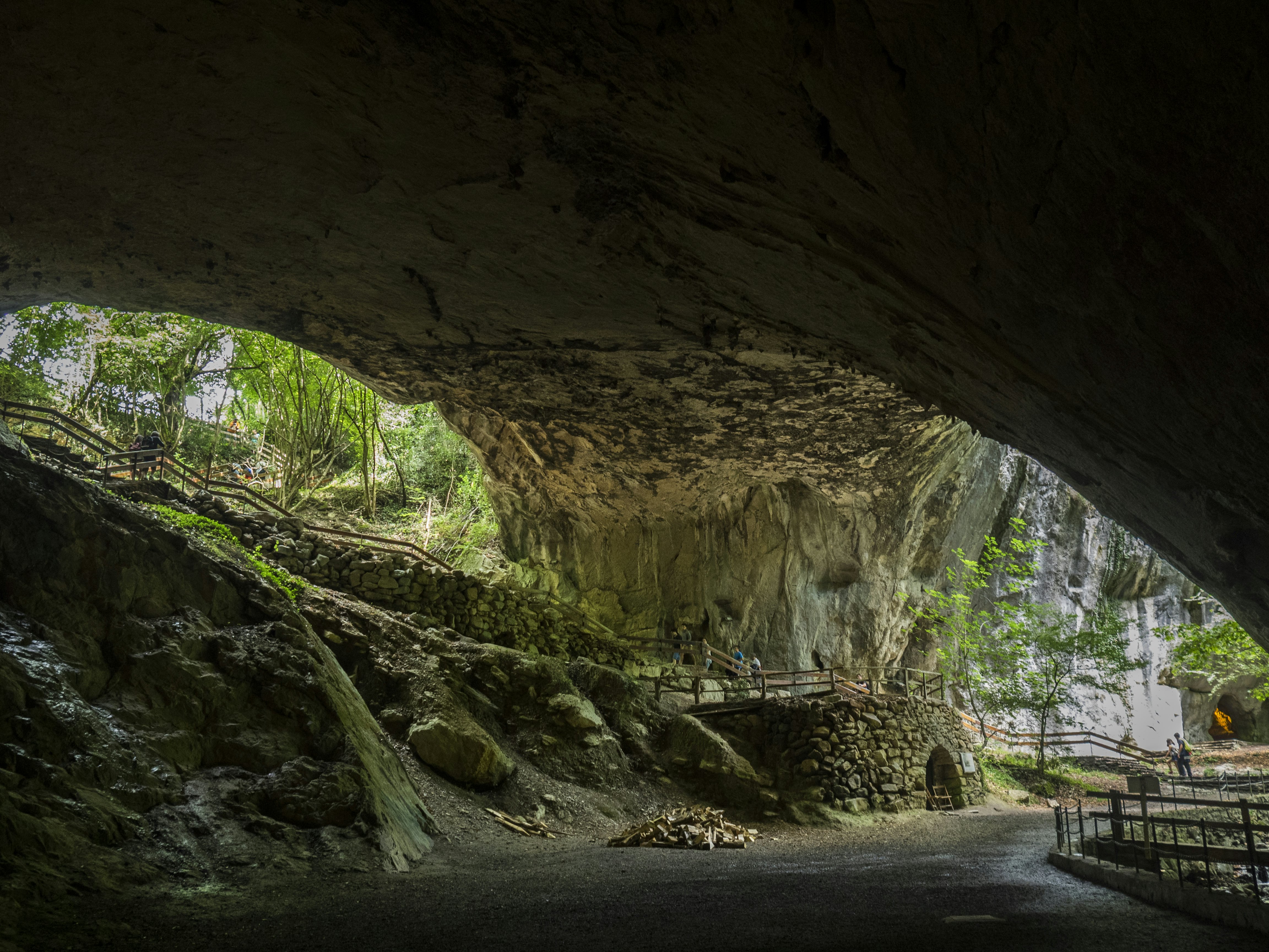 View from inside a large, rounded cave with two openings lookint out toward daylight.