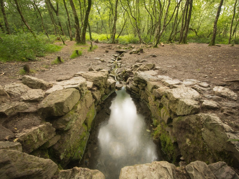 Stones alongside rushing water surrounded by a dirt path and trees in a forest on an overcast day.