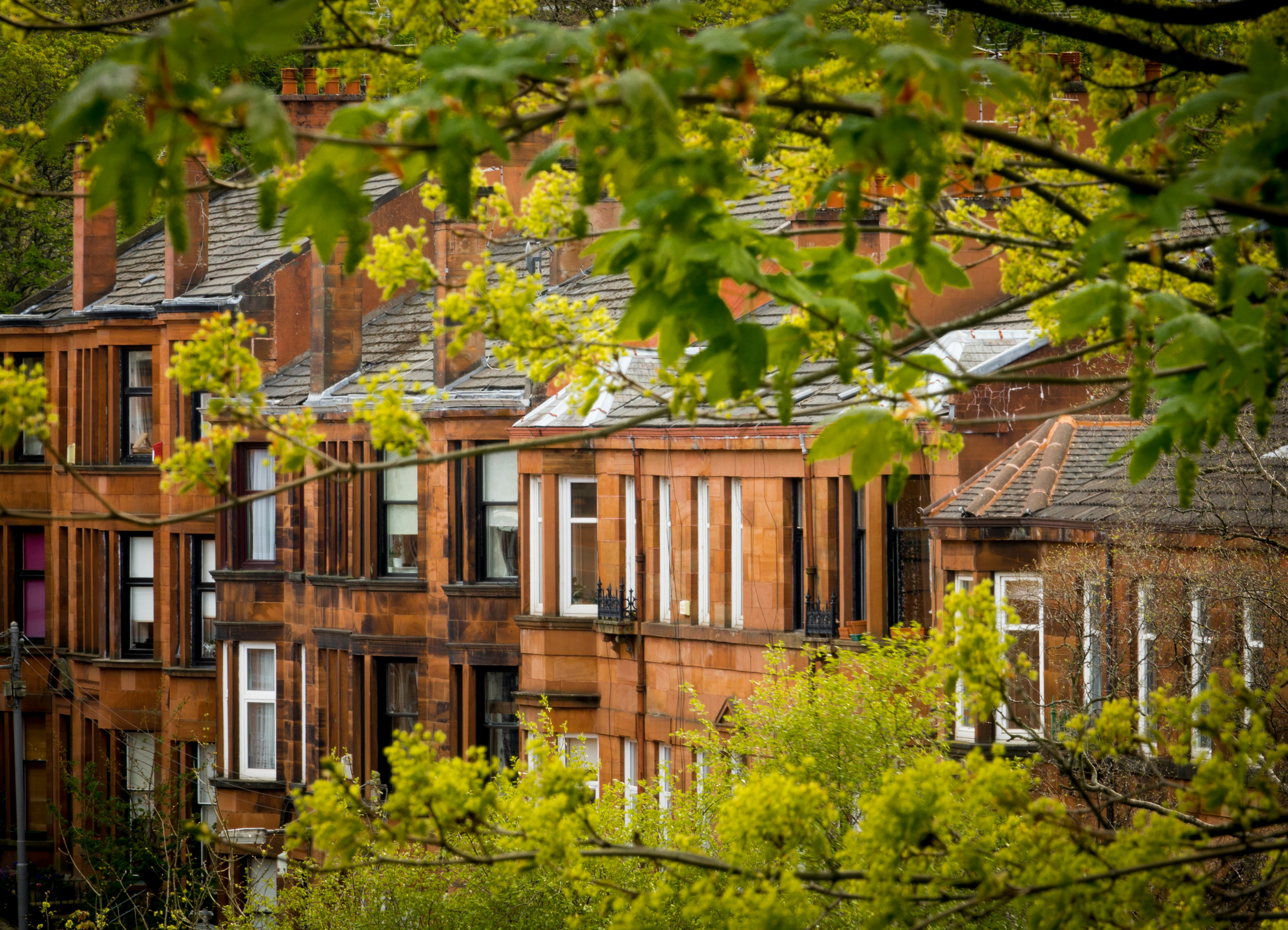 A view through trees to a row of sandstone tenement buildings in Glasgow's Southside, Scotland.