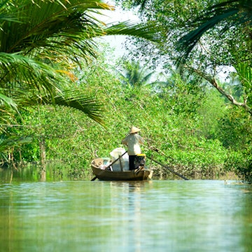 Mekong delta, Can Tho, Vietnam, License Type: media, Download Time: 2025-09-23T11:42:42.000Z, User: clairenaylor, Editorial: false, purchase_order: 65050 - Digital Destinations and Articles, job: Online editorial, client: Vietnam things to do, other: Claire Naylor