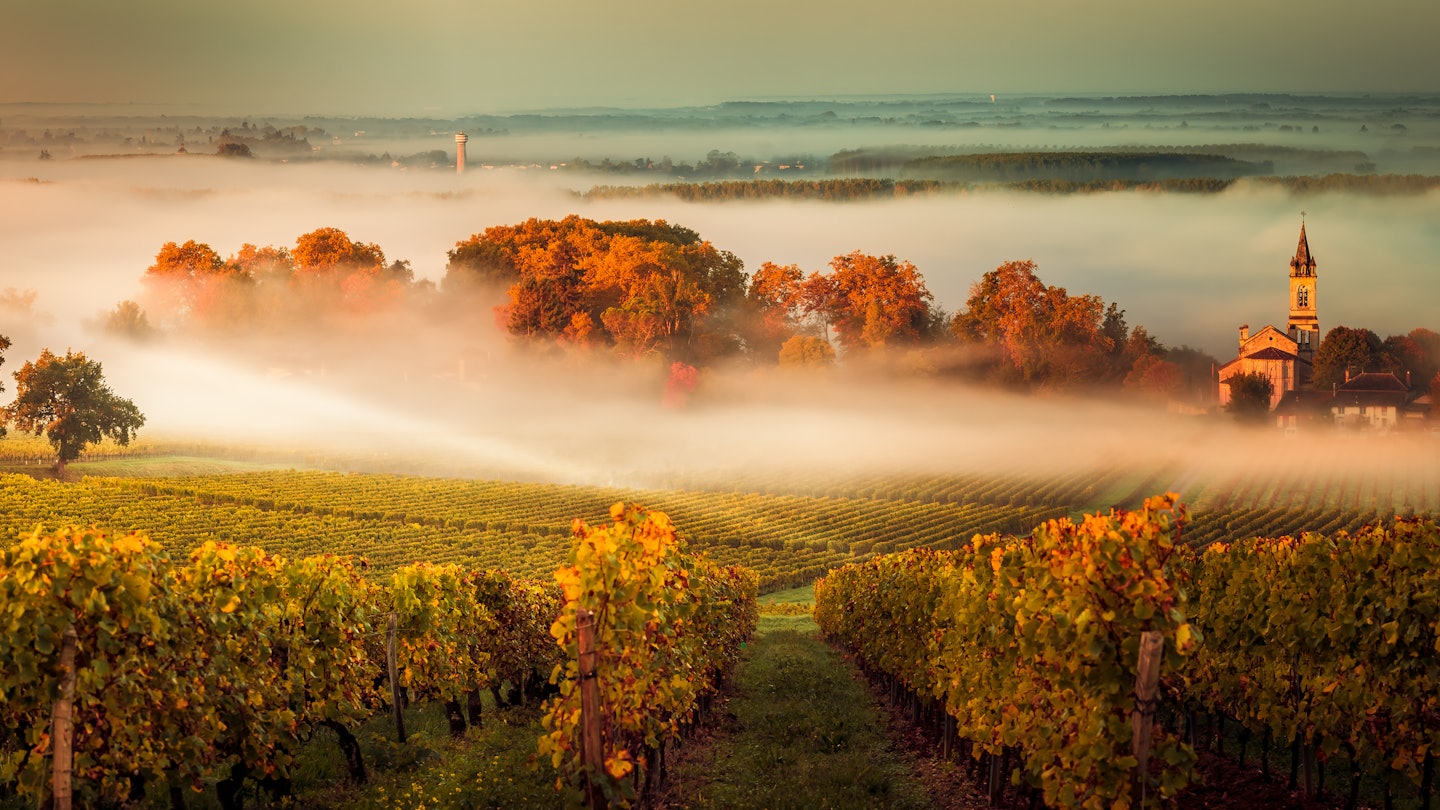 Sunset over low-lying clouds at a Saint-Emilion vineyard.
748532743
france, bordeaux, agriculture, green, winery, farmland, red, sunrise, field, yellow, grapes, growing, sunny, vine, vineyard, orange, summer, germany, farm, dusk, picturesque, sun, wine, countryside, farming, rural, sunset, sky, scenic, scene, background, sundown, nature, idyllic, food, harvest, landscape, hessen, saint-emilion, vinyard, wineyard, cultur, frech, agriculture, background, bordeaux, countryside, cultur, dusk, farm, farming, farmland, field, food, france, frech, germany, grapes, green, growing, harvest, hessen, idyllic, landscape, nature, orange, picturesque, red, rural, saint-emilion, scene, scenic, sky, summer, sun, sundown, sunny, sunrise, sunset, vine, vineyard, vinyard, wine, winery, wineyard, yellow