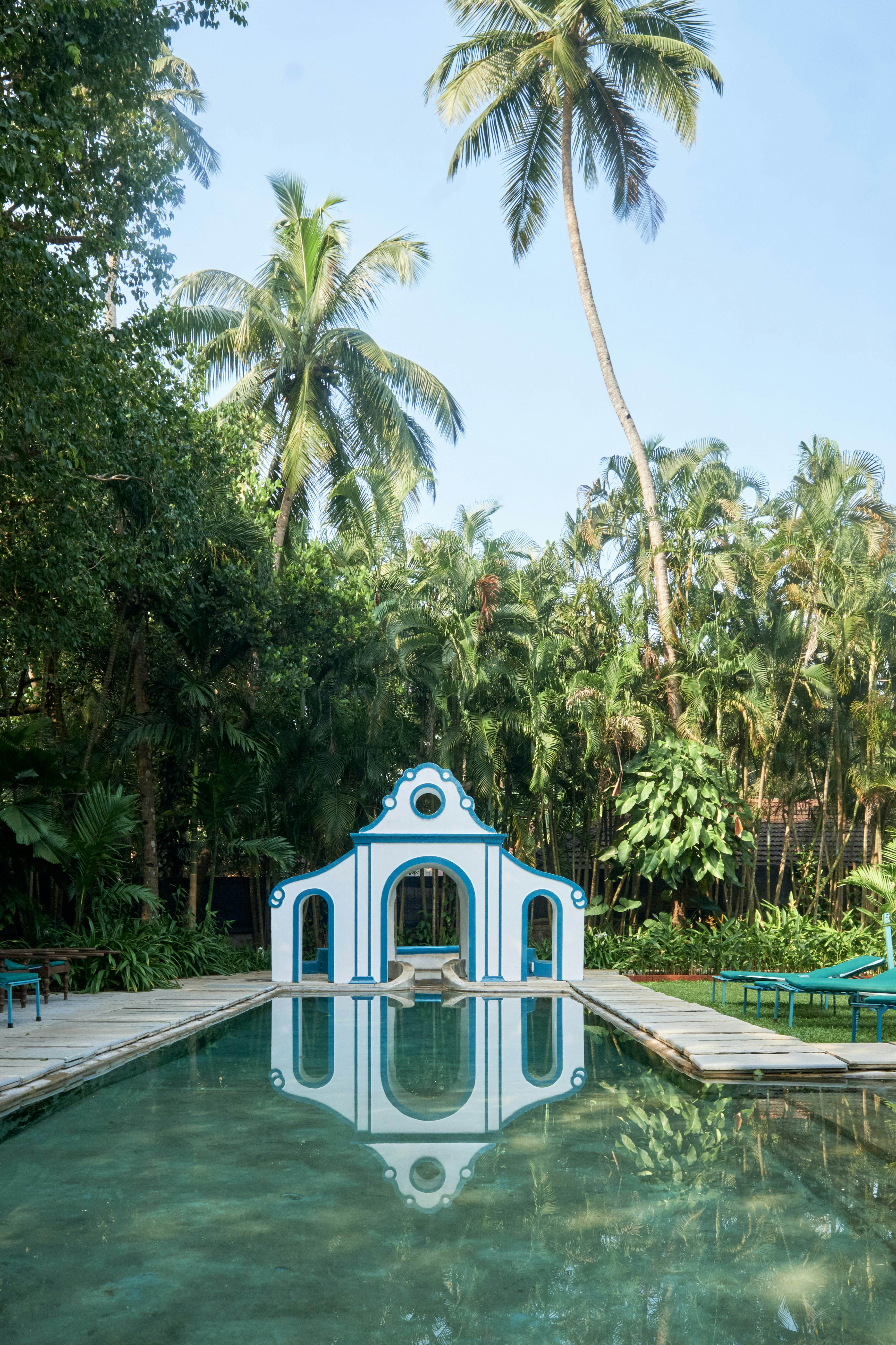 A swimming pool surrounded by jungle.