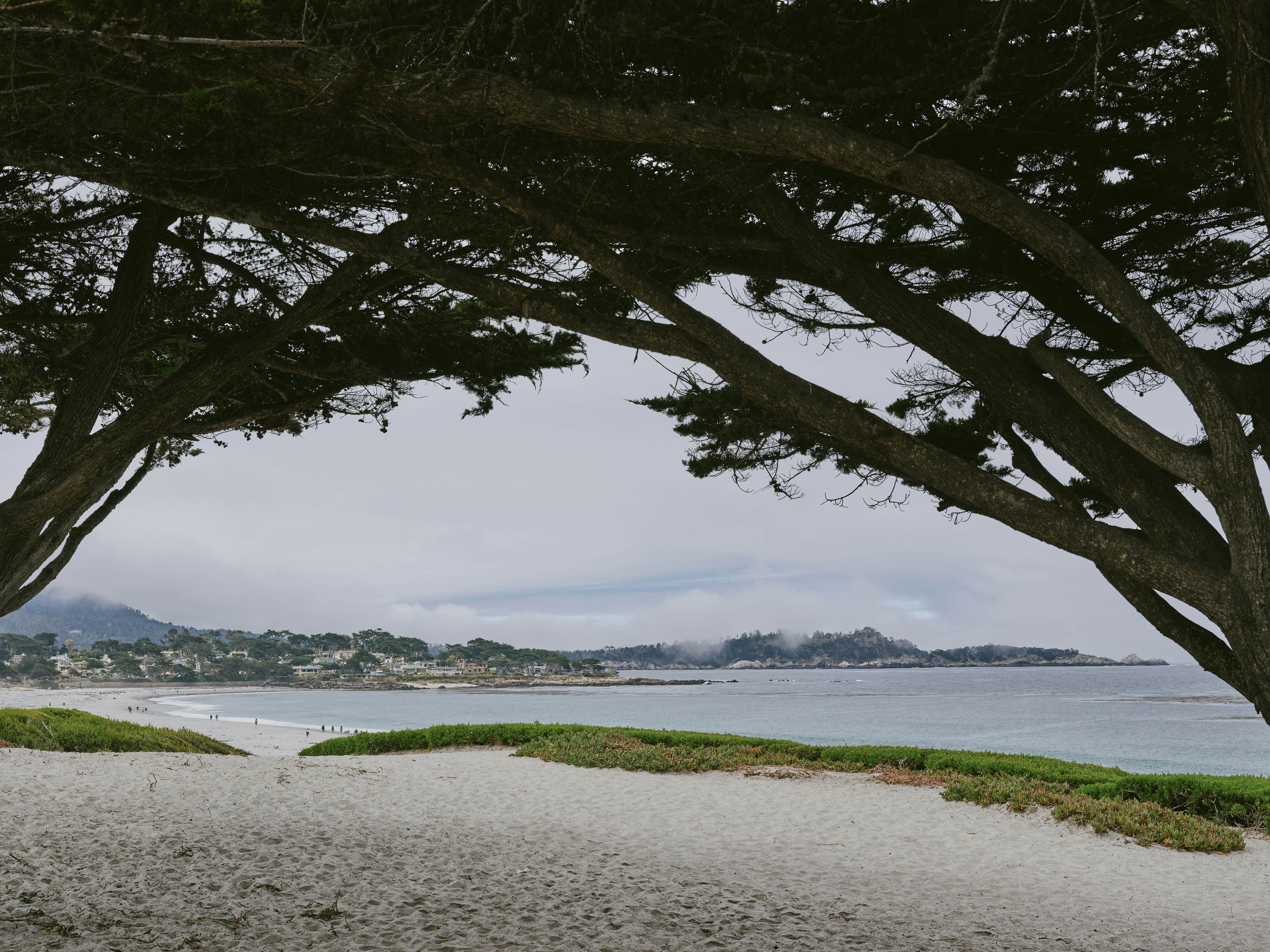 Trees frame a view of the ocean with a quaint town and rolling tree-covered hills in the background