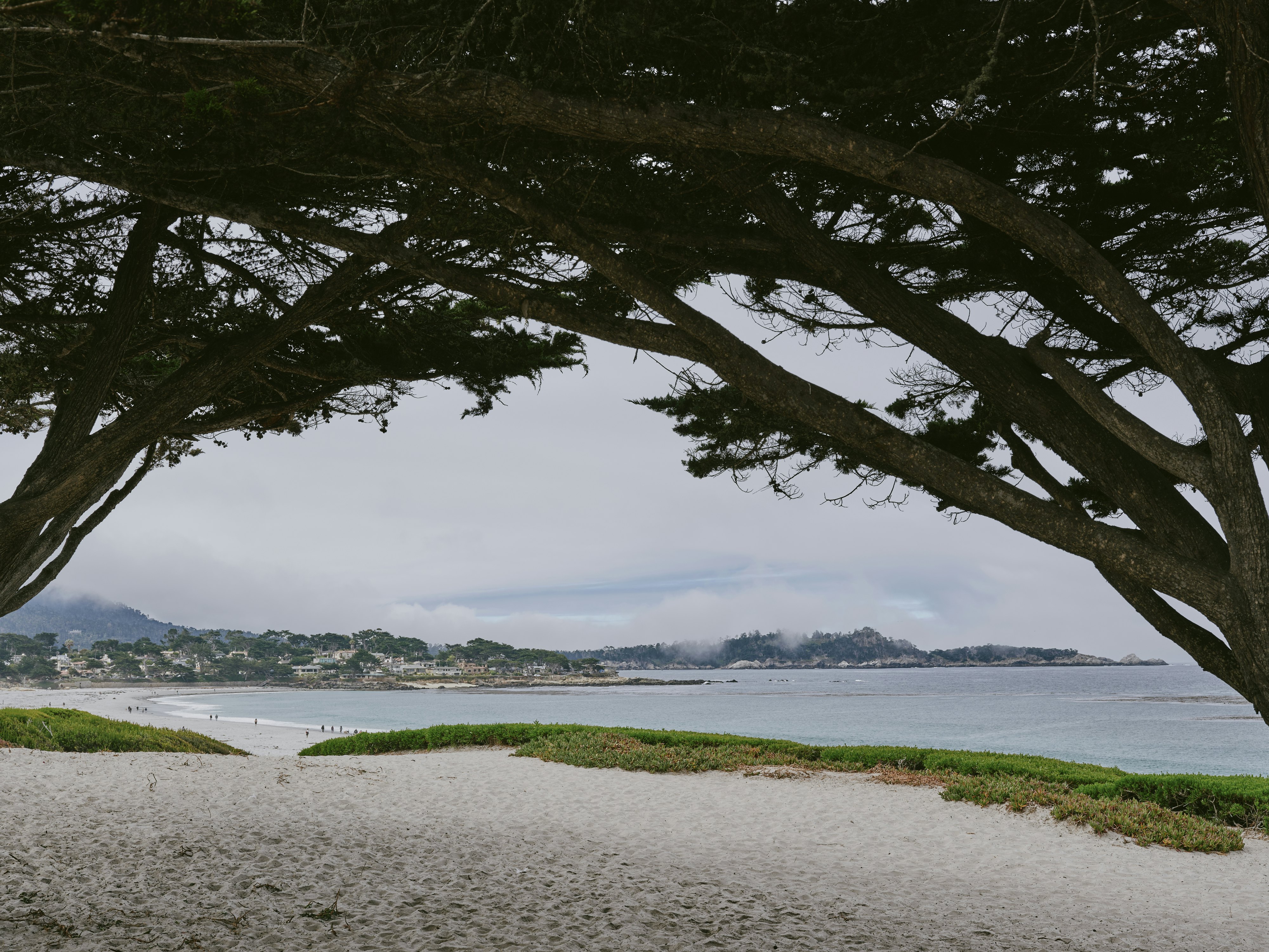 A sandy beach with a grass-covered dune on a misty day.