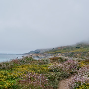 Garrapata State Park, Big Sur, California. July 2025.