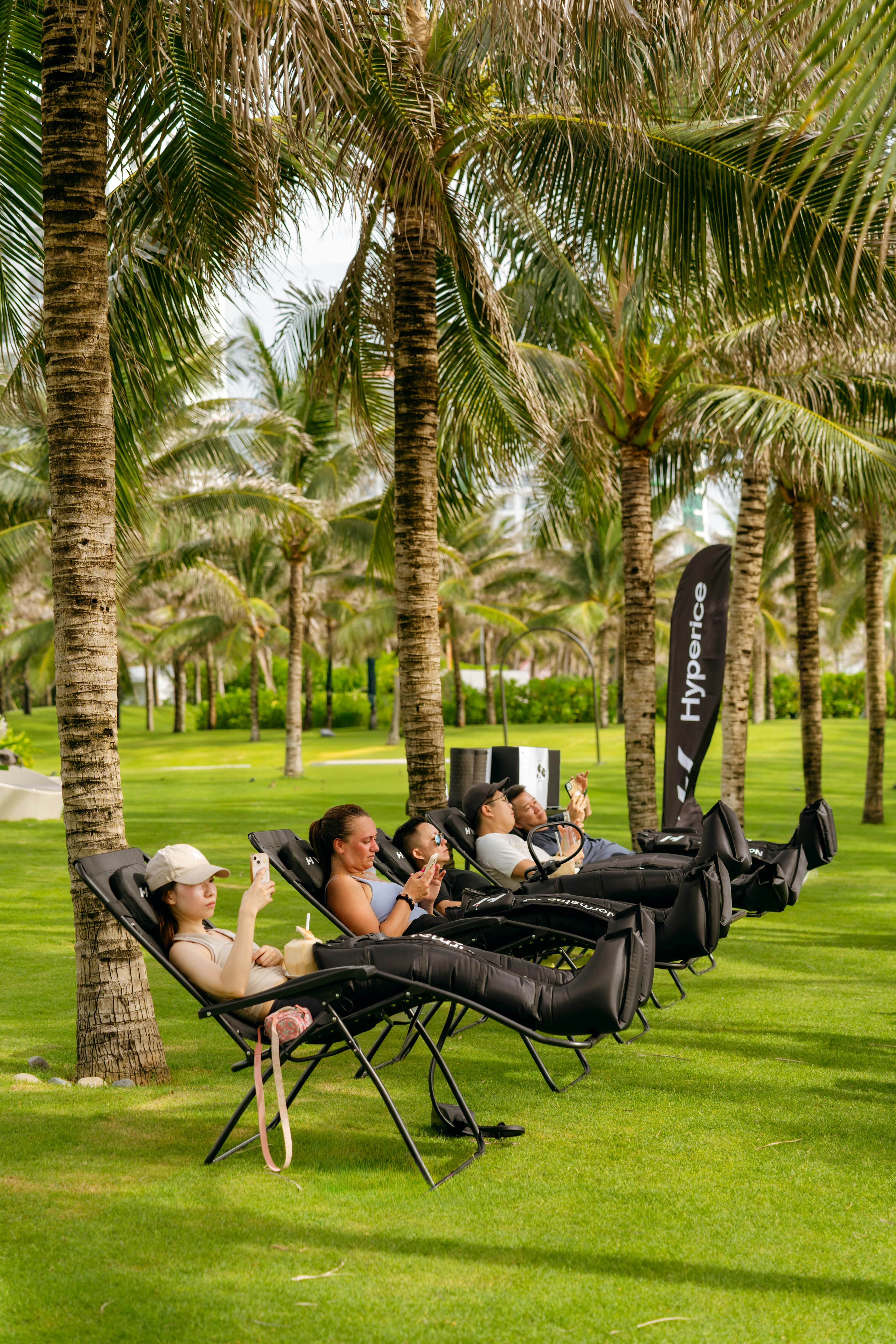 People recline in lounge chairs under palm trees.