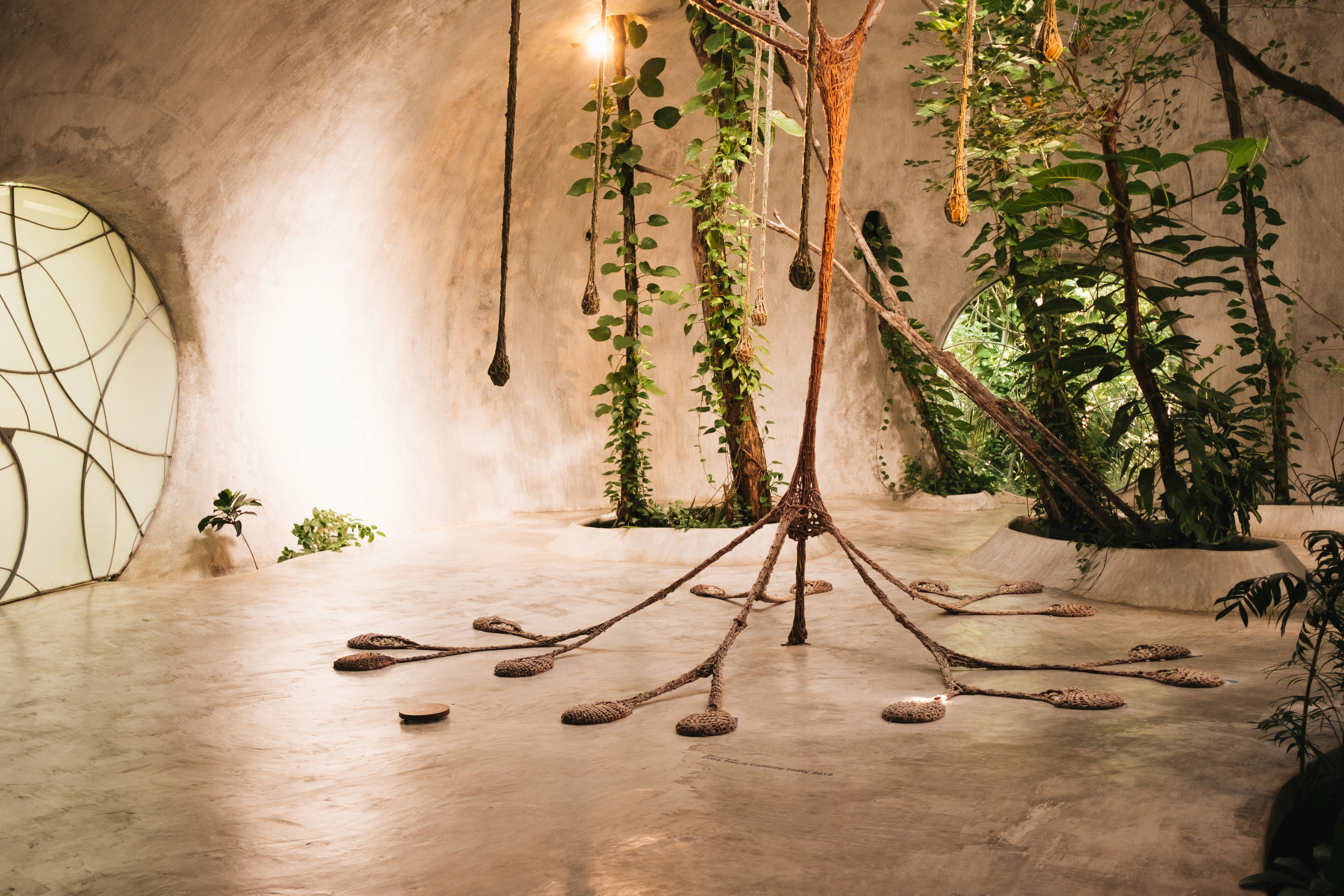 An art installation in a cement room filled with plants