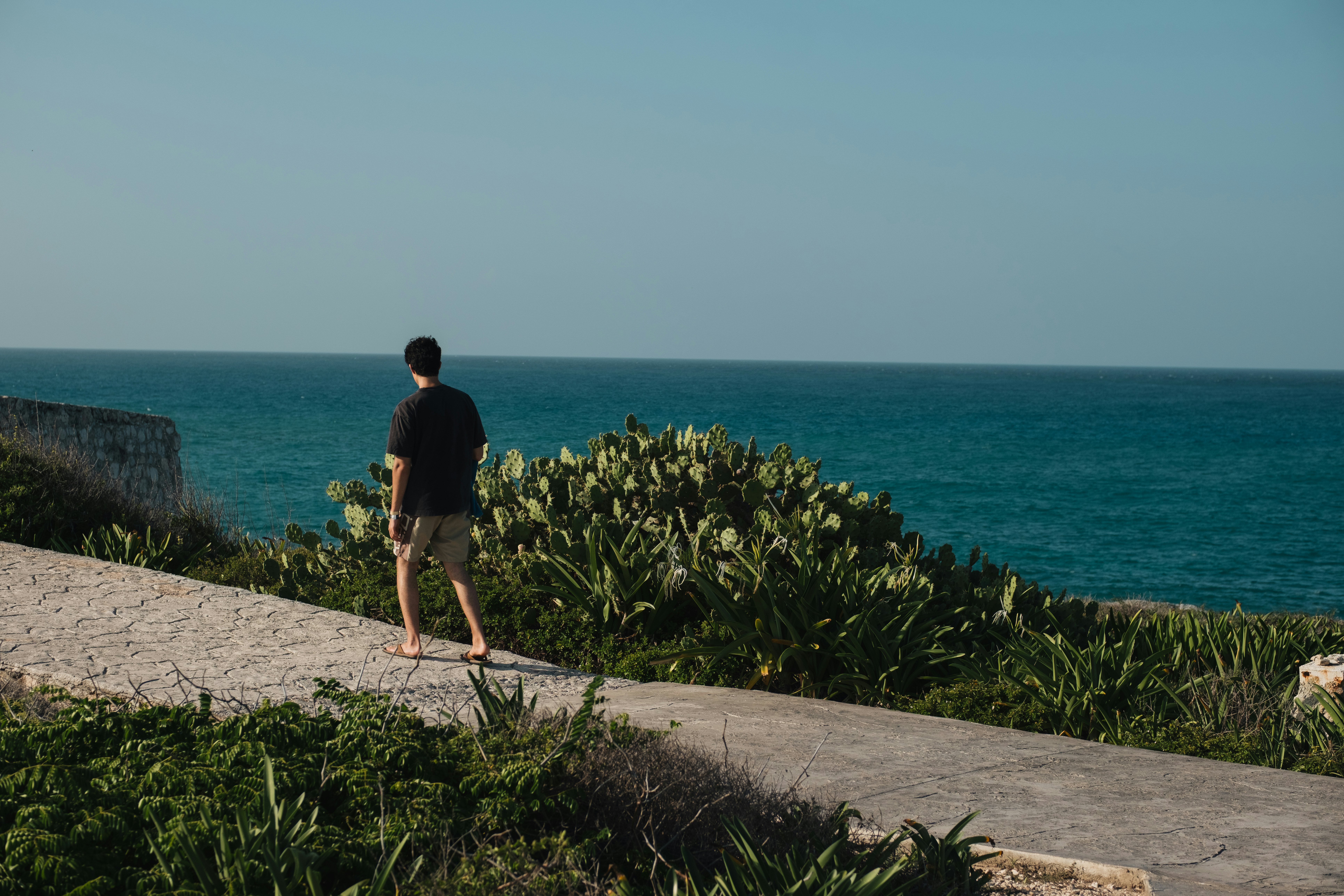 A man walks on a path with fews of the ocean and lots plants
