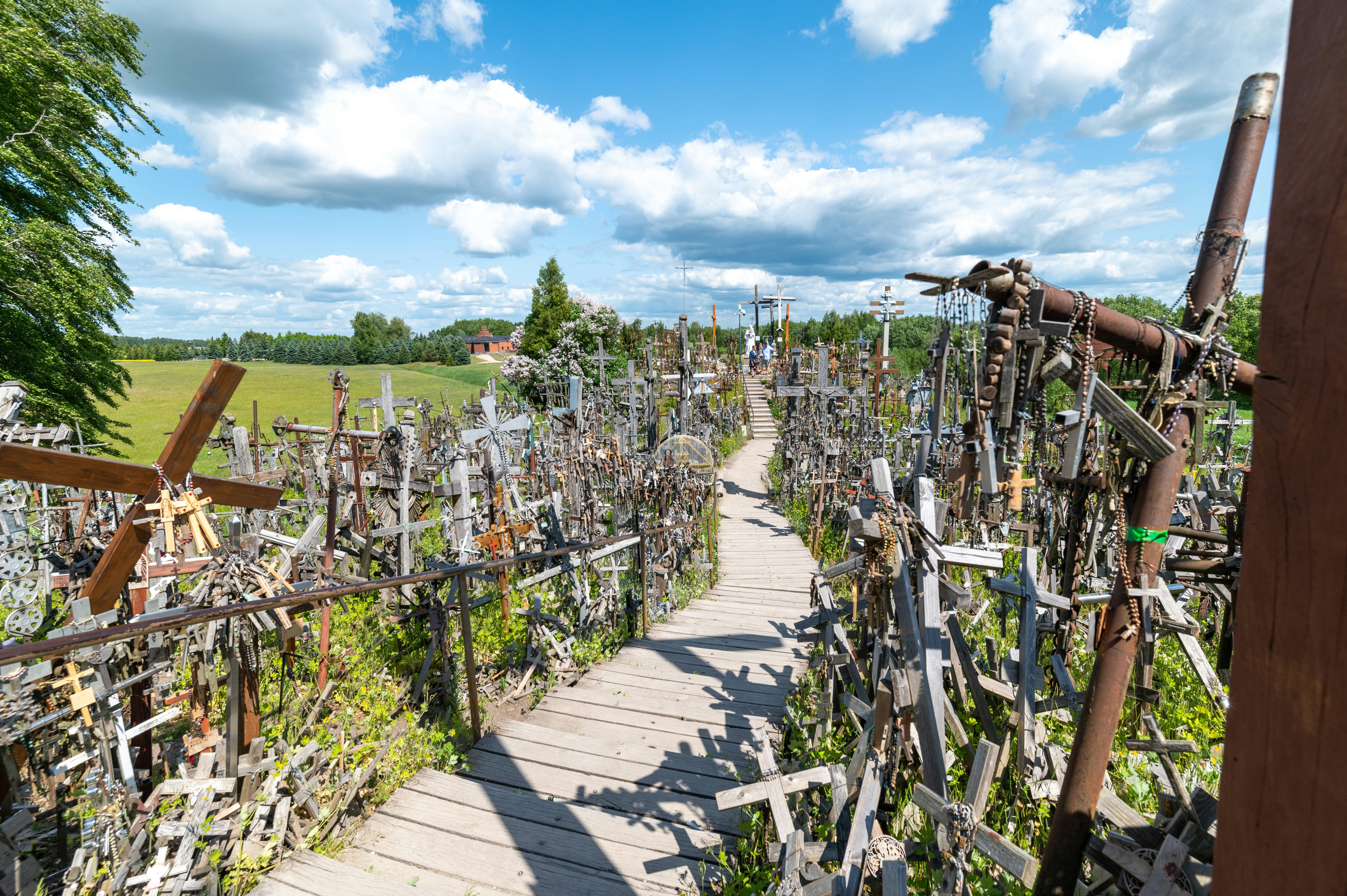 A pathway leads through a display of many different crosses of varying sizes.