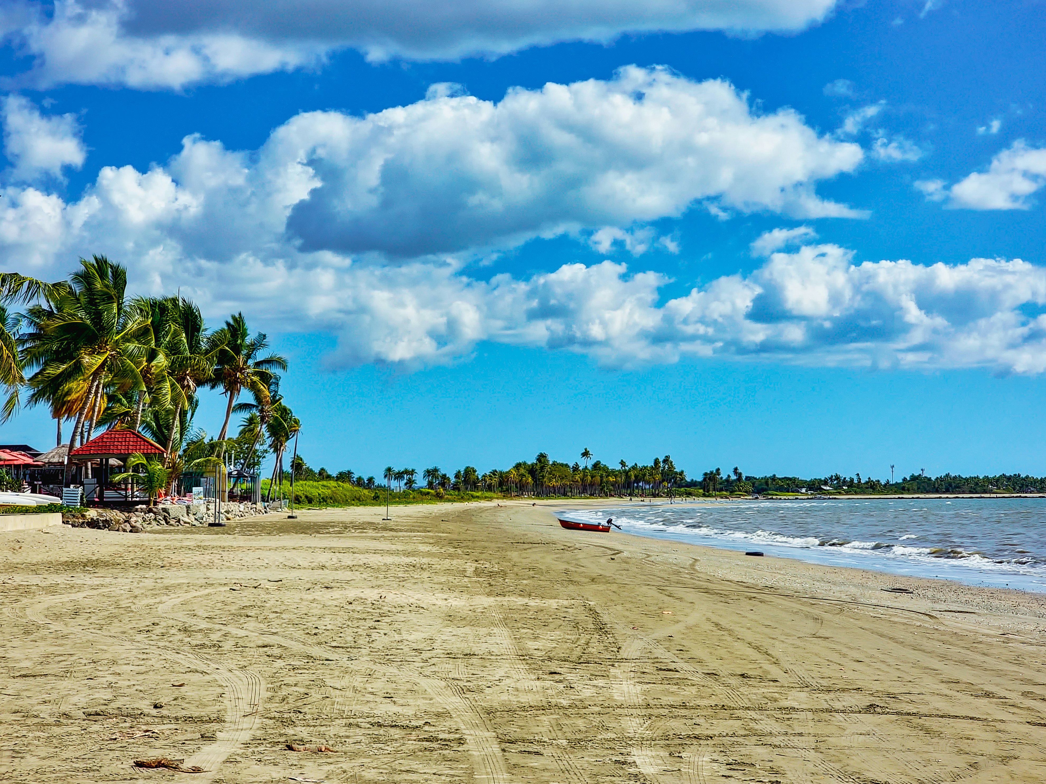 A sandy palm tree-lined beach with a small motorboat resting near the shore.