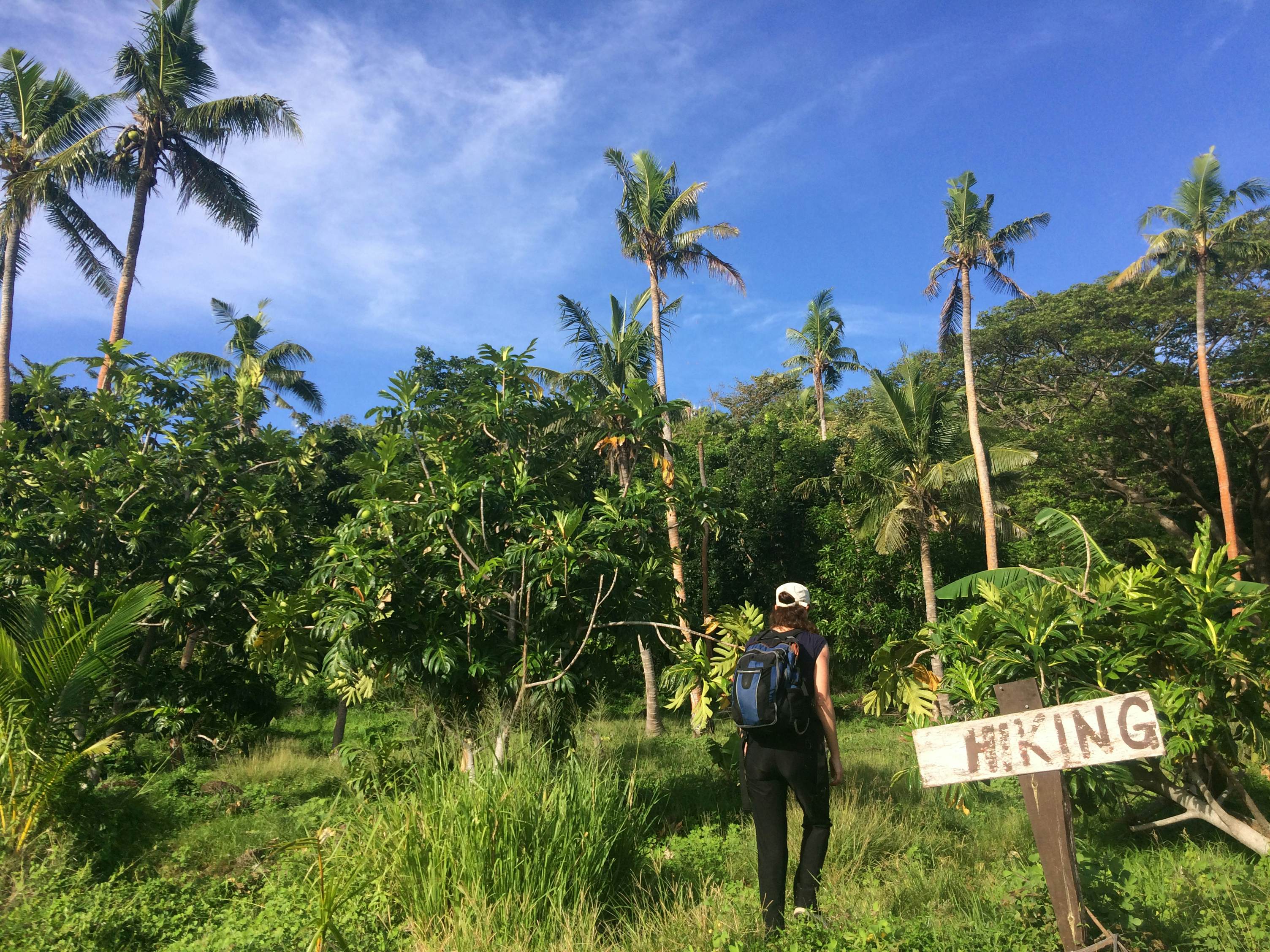 GettyImages-640102022.jpg
Young woman travels and hikes in tropical terrain